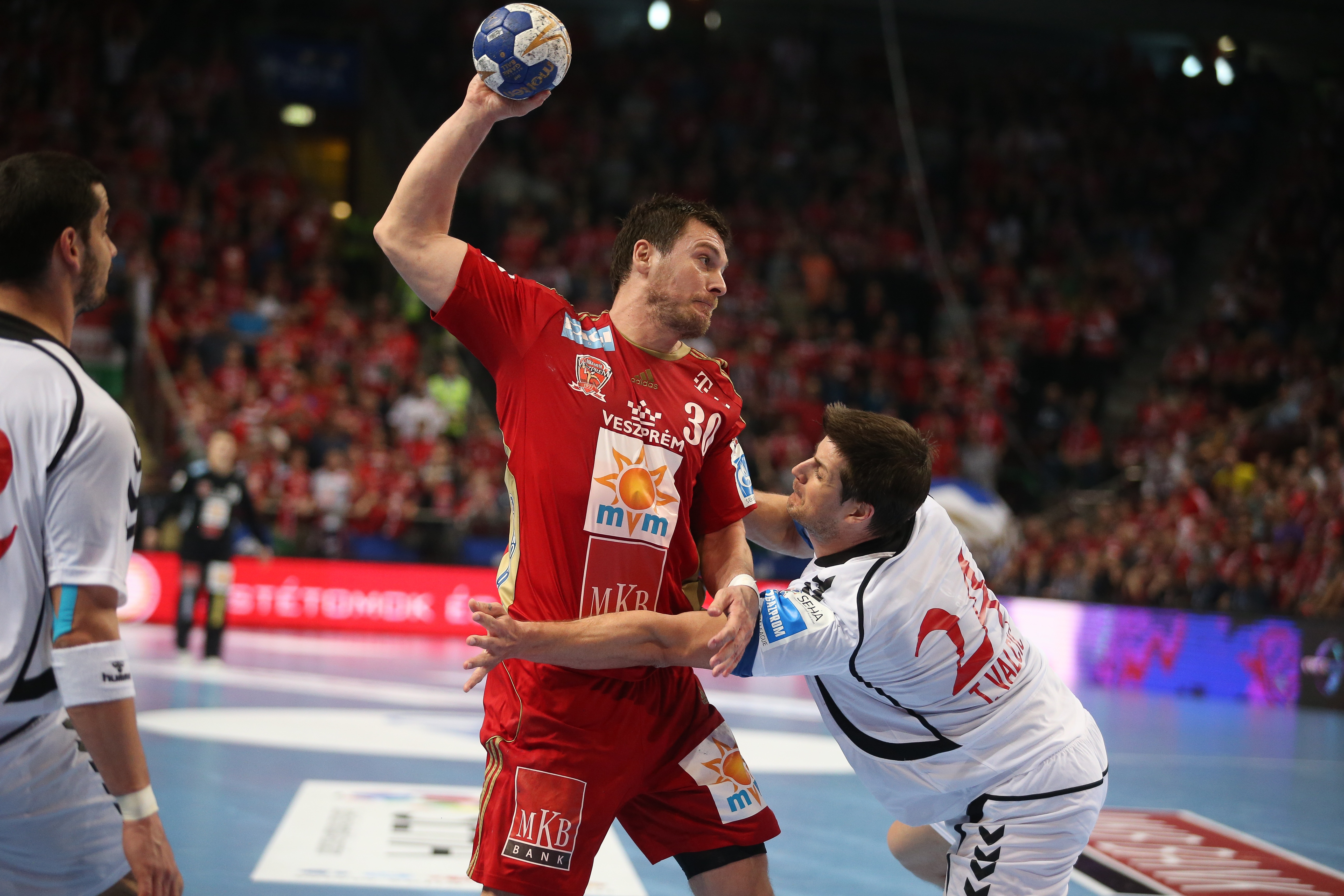 20190512_2_36411553_44391133