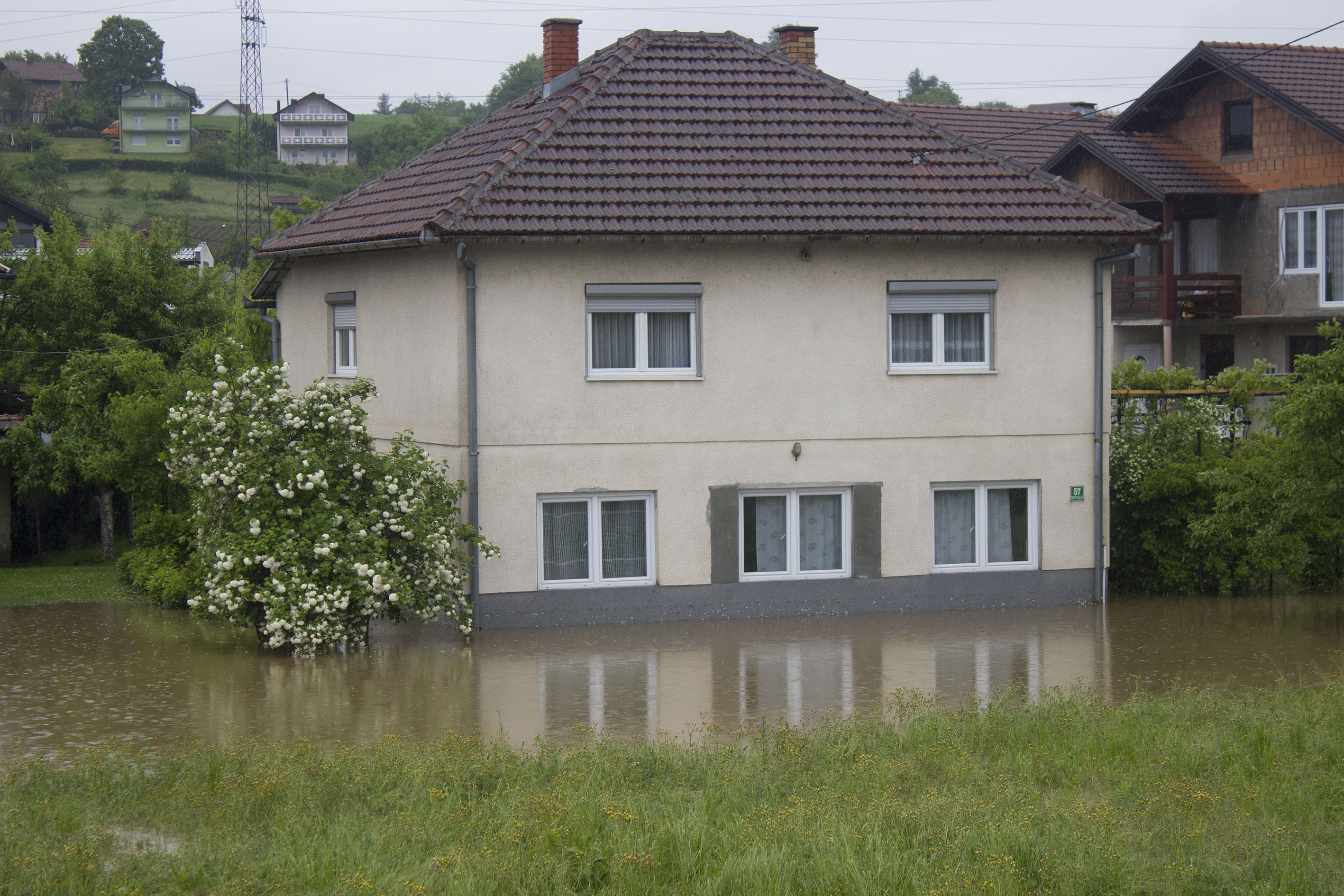 20190514_2_36438518_44438296