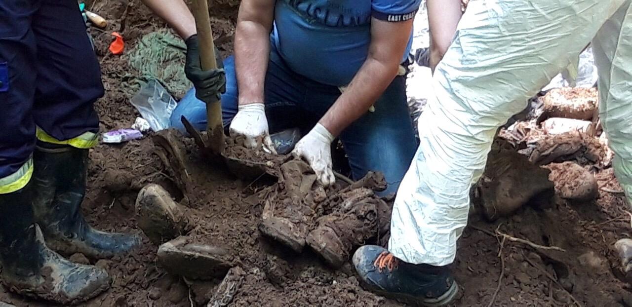 20190607_2_36784762_45116318