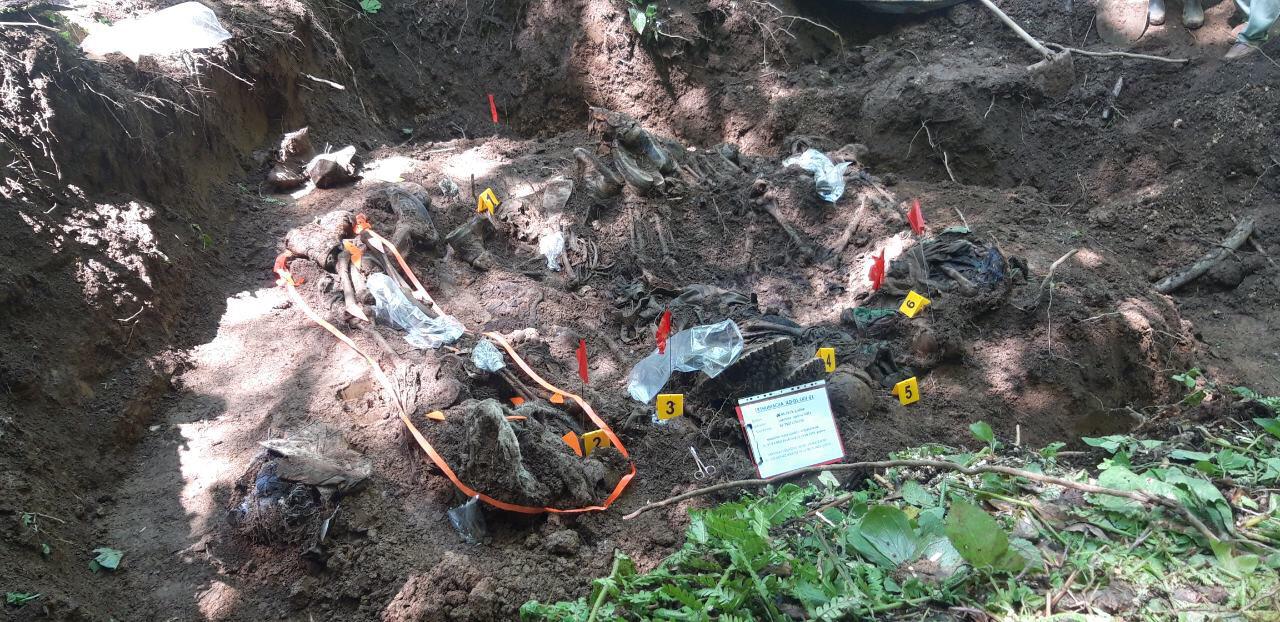 20190607_2_36784762_45116319