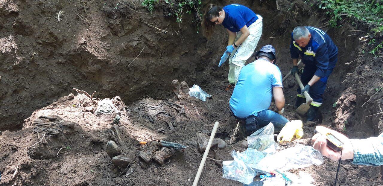 20190607_2_36784762_45116320