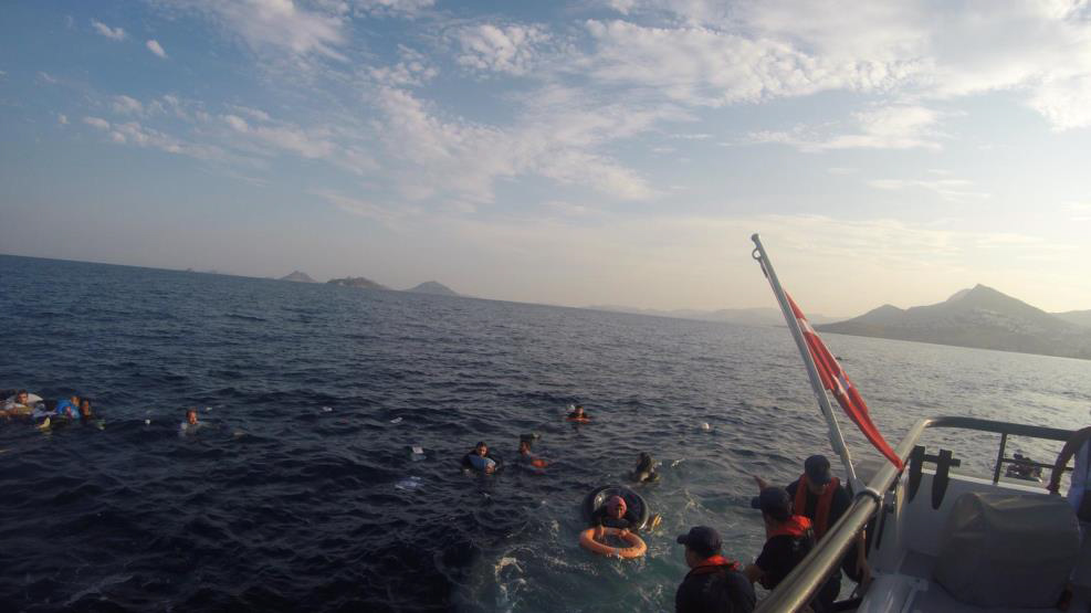 20190617_2_36927282_45360641