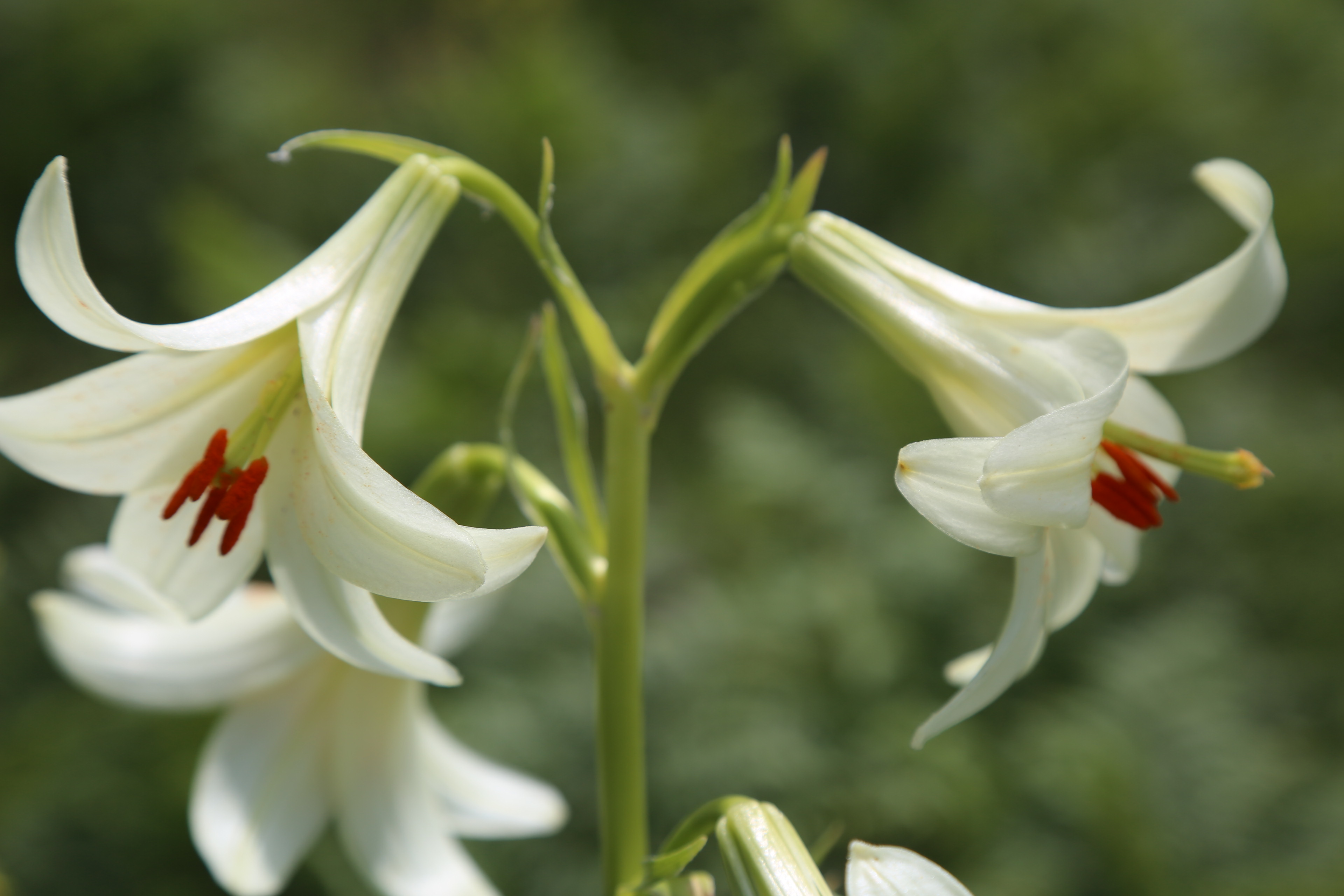 20190629_2_37119593_45676986