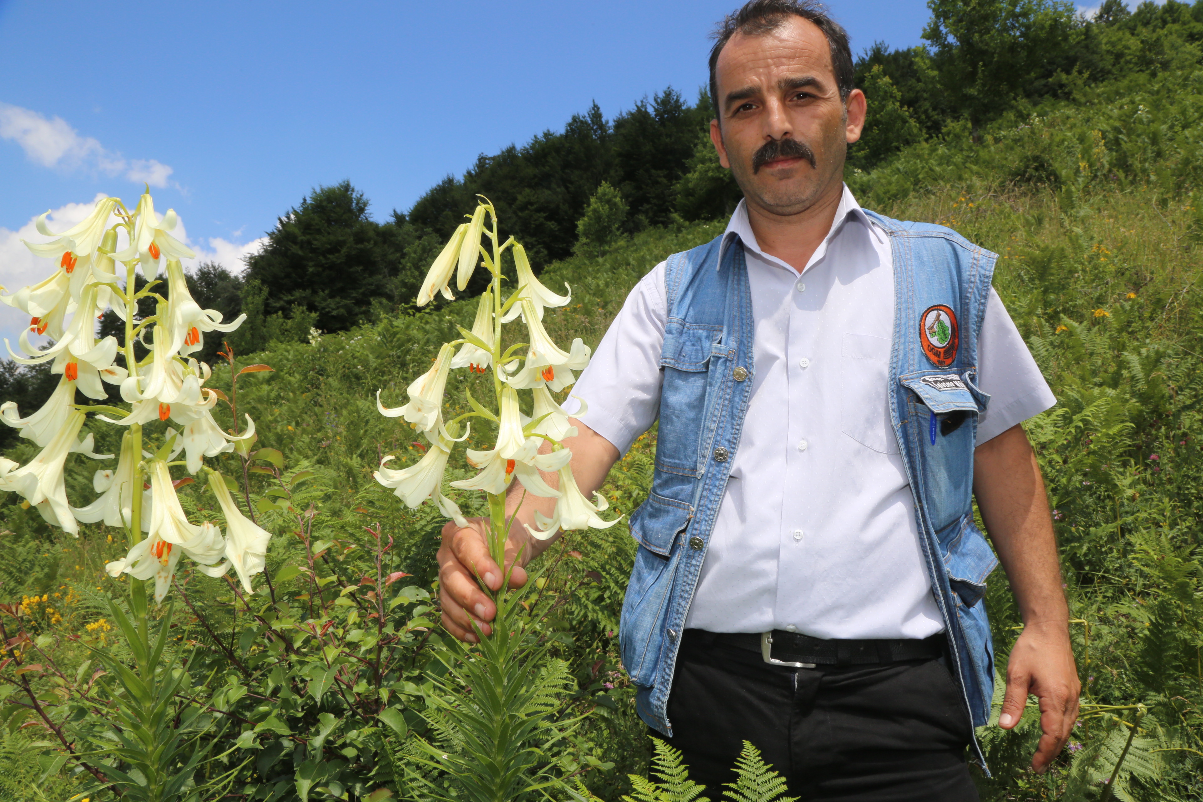 20190629_2_37119593_45676995