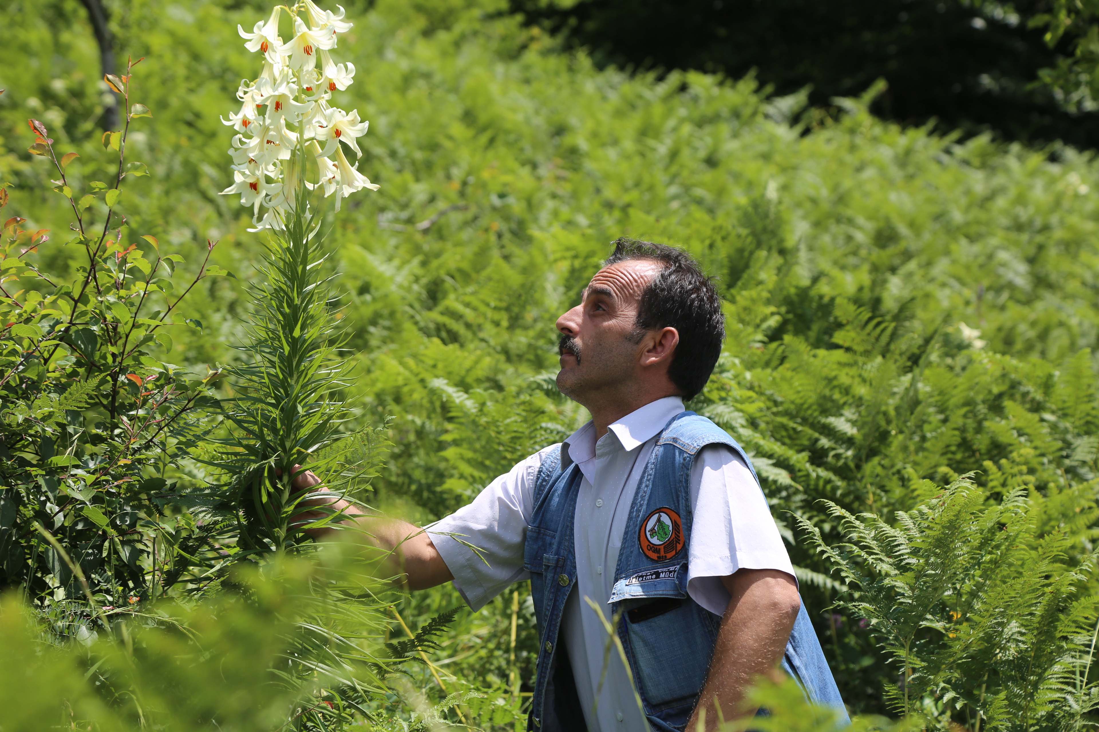 20190629_2_37119593_45676996