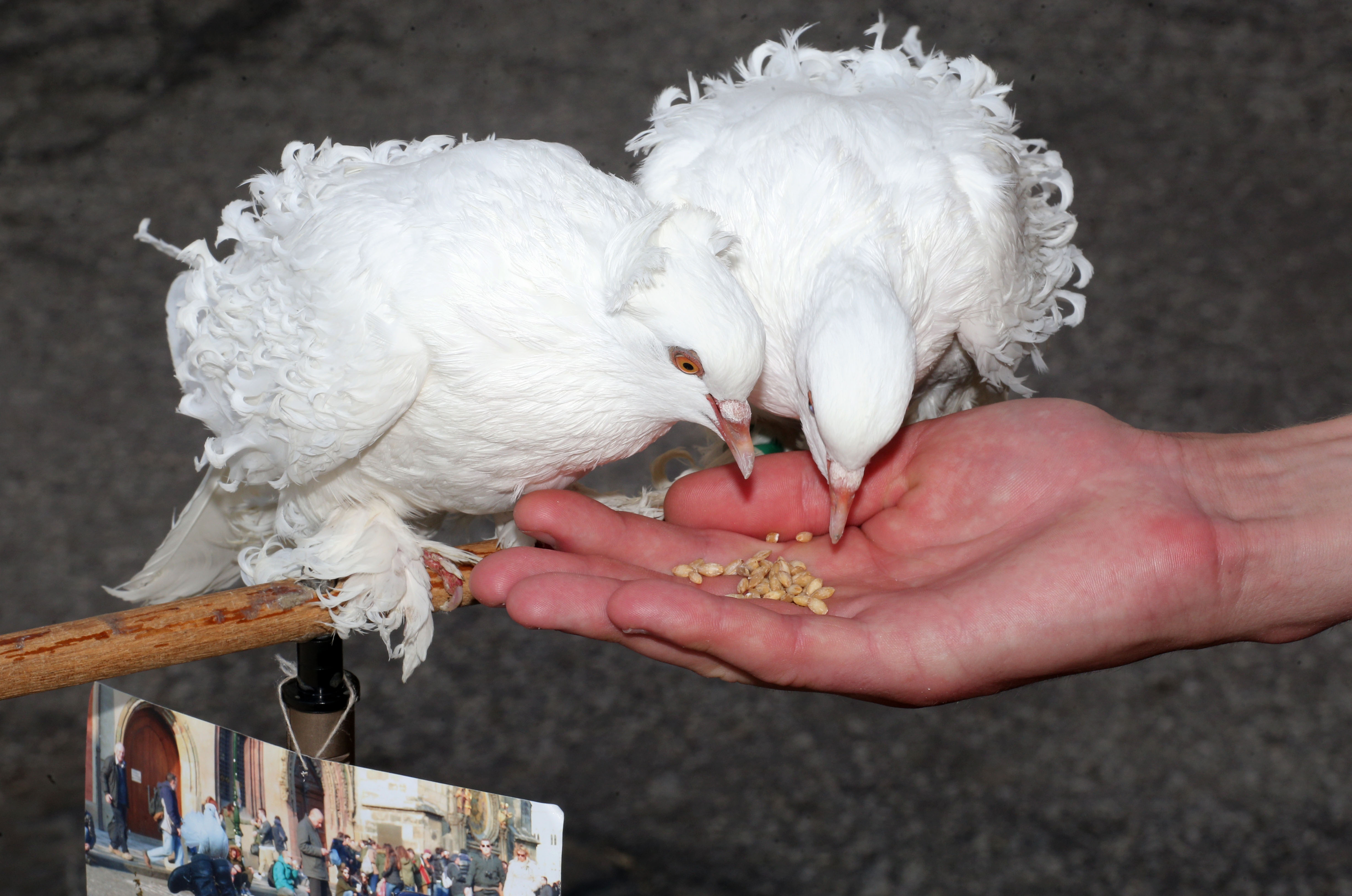 20190629_2_37125138_45689543