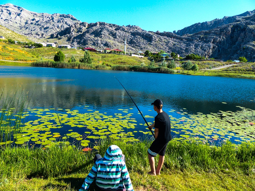 20190702_2_37157807_45743820