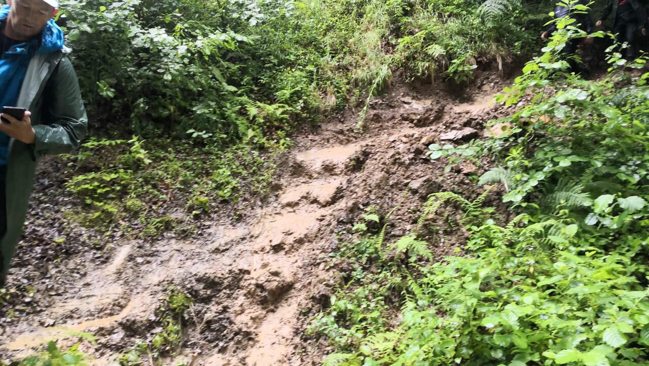 20190710_2_37278539_45953383