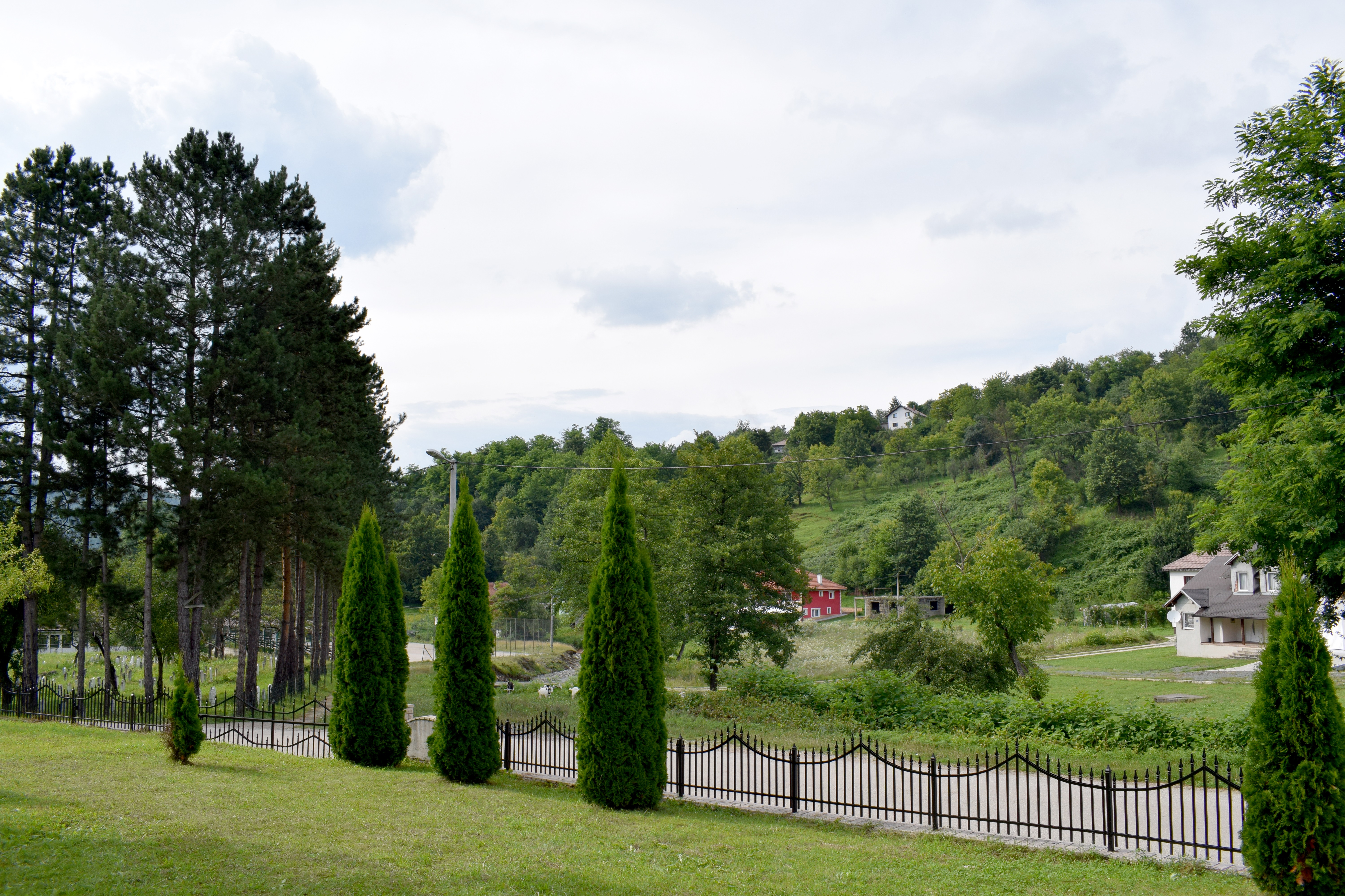 20190721_2_37439347_46247531