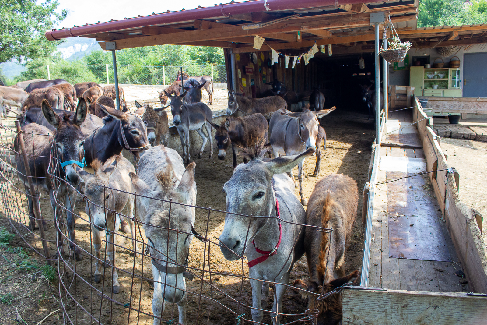 20190721_2_37440032_46249128