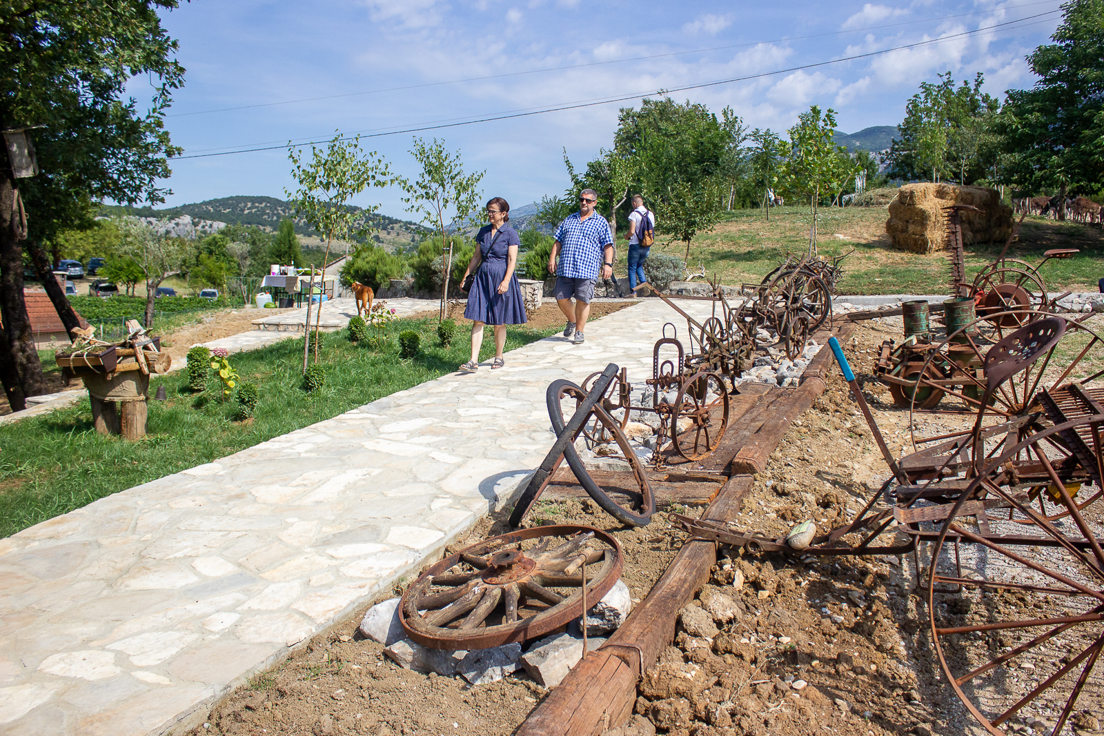 20190721_2_37440032_46249131