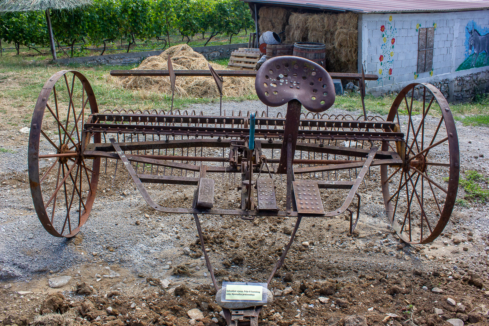 20190721_2_37440032_46249132