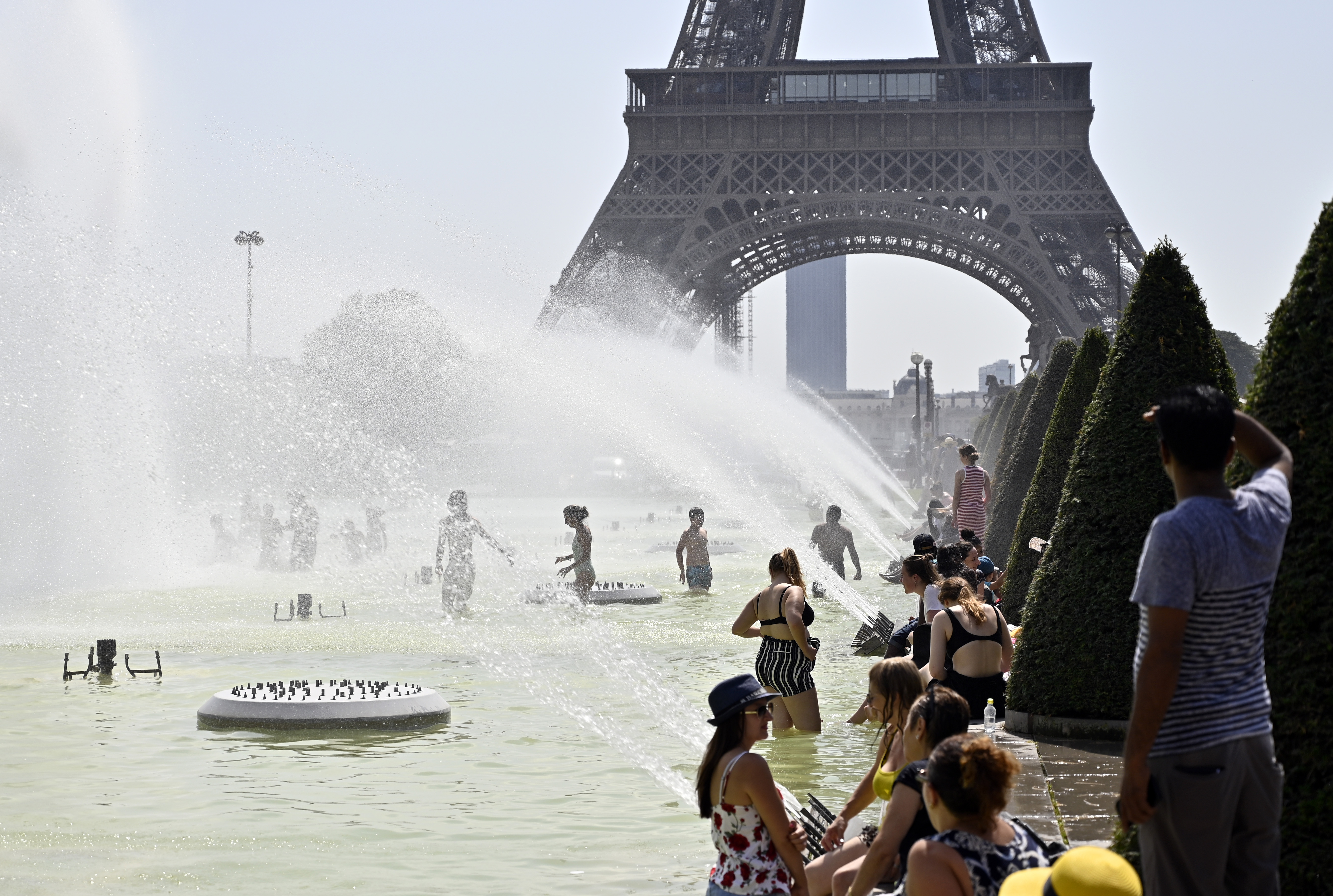 20190725_2_37500948_46342616