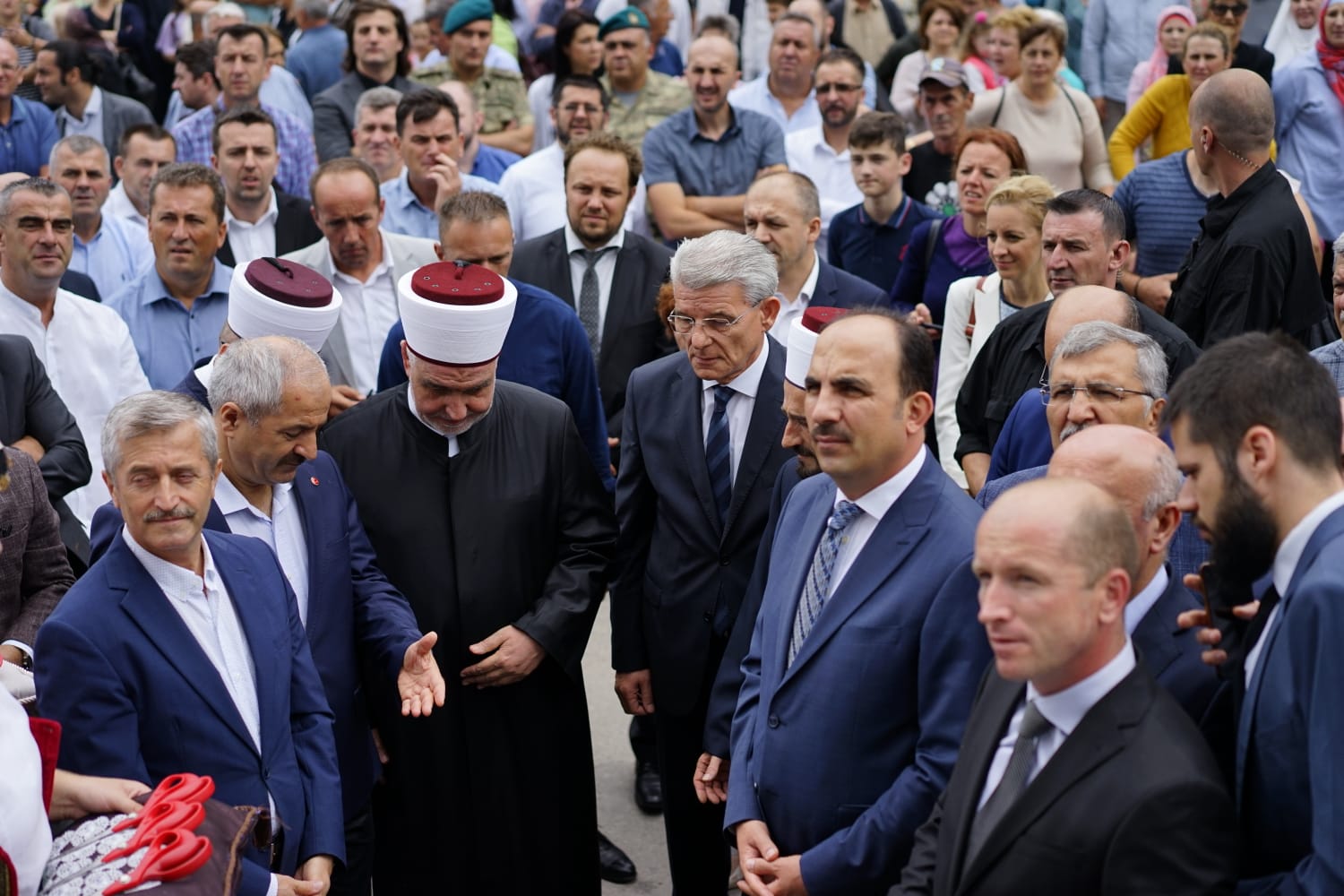 20190728_2_37536774_46406234