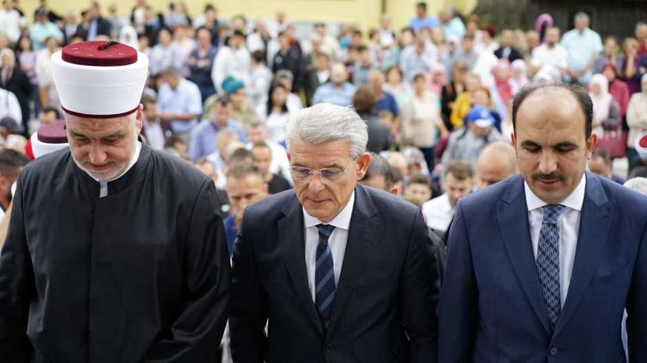 20190728_2_37536774_46406235