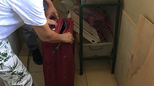 20190810_2_37721613_46703063