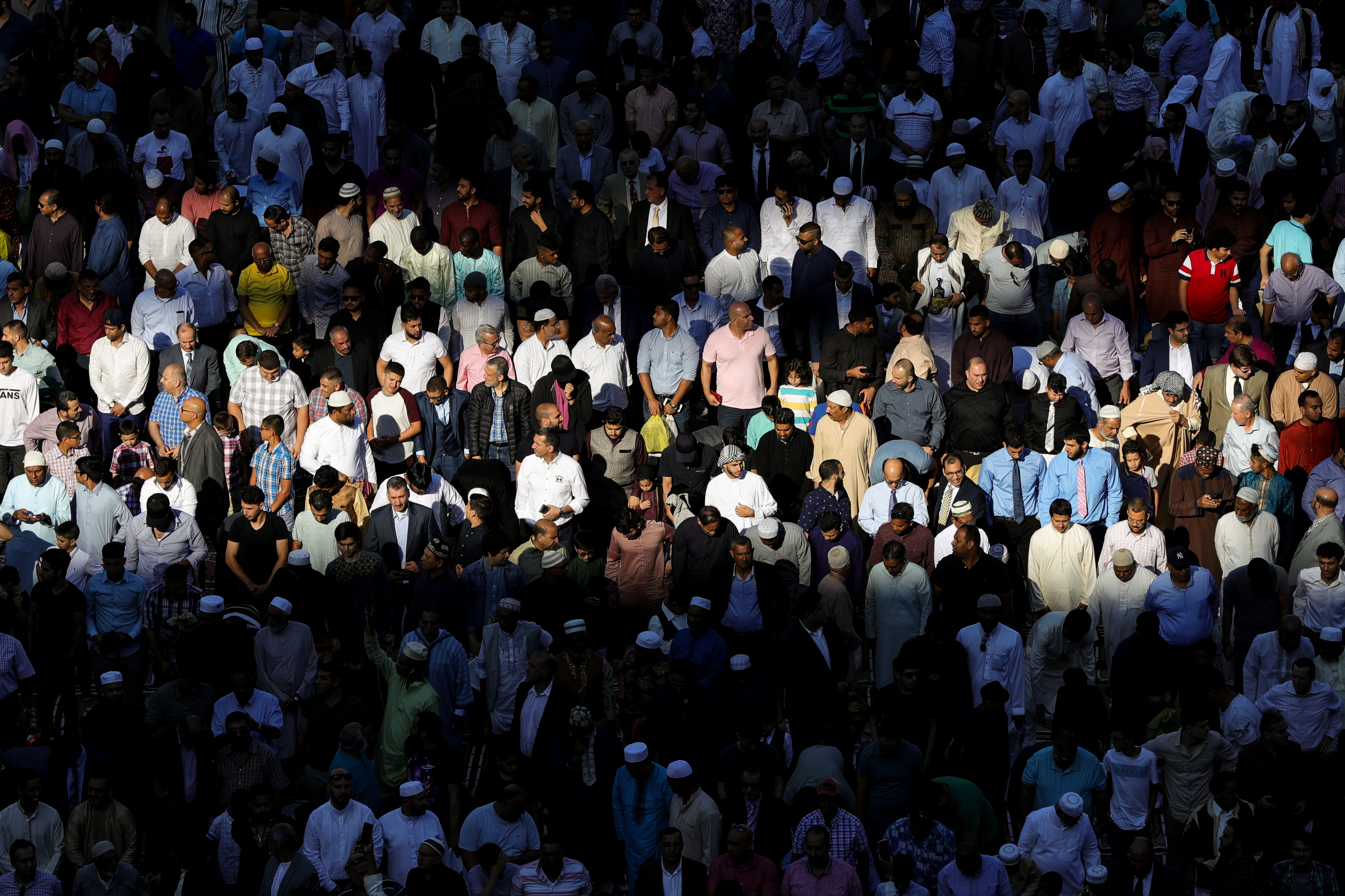 20190811_2_37735666_46741267