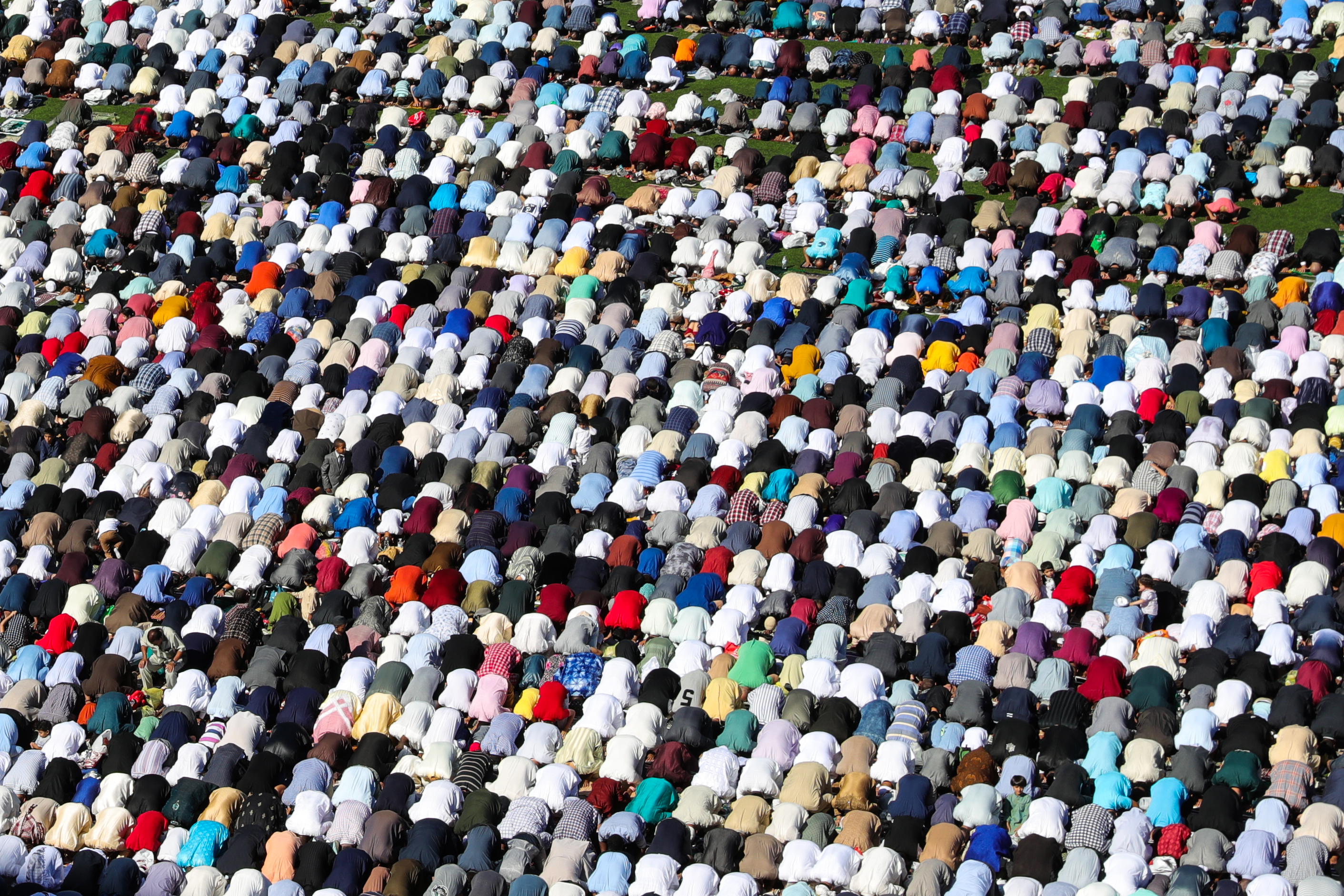 20190811_2_37735666_46741268