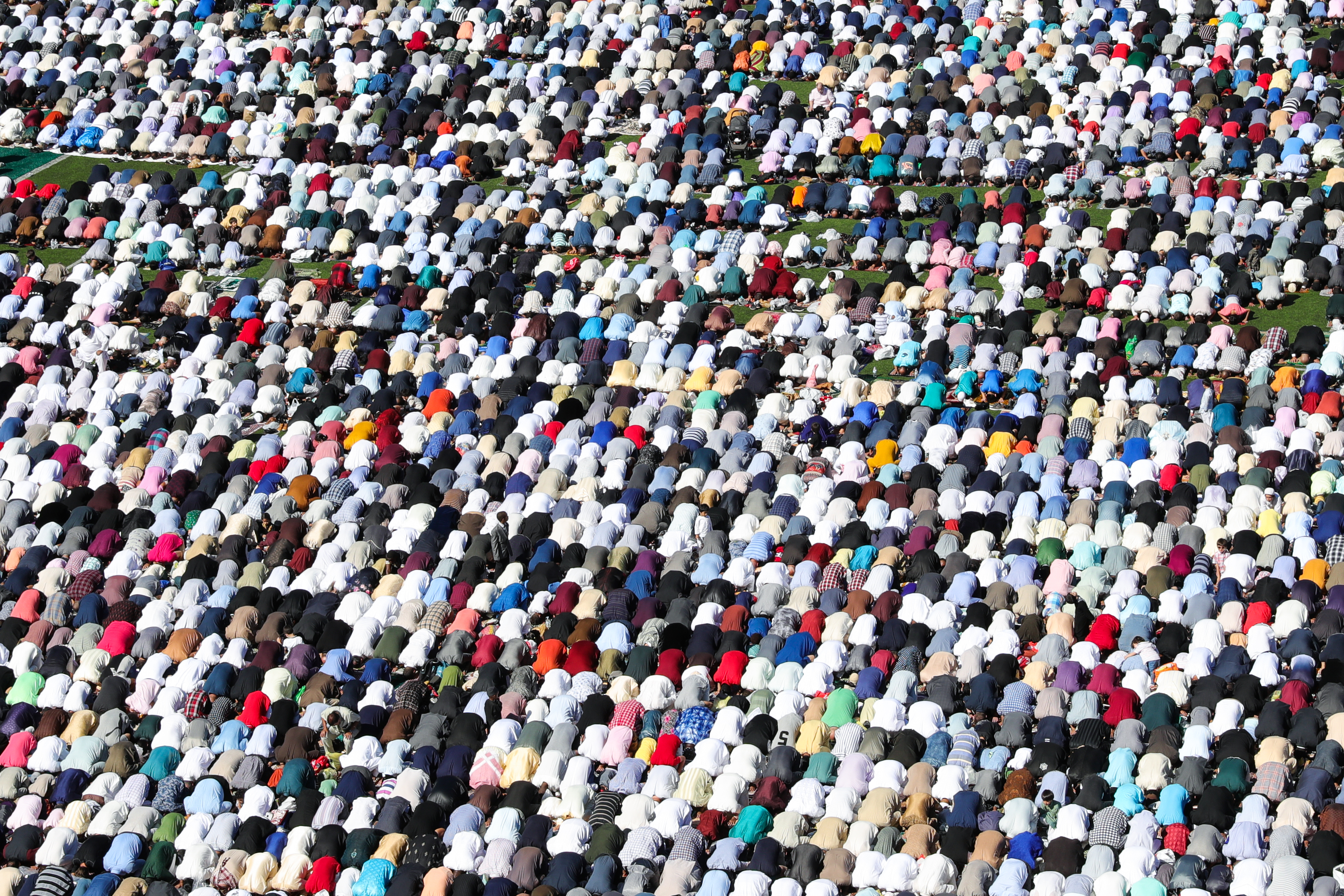 20190811_2_37735666_46741271