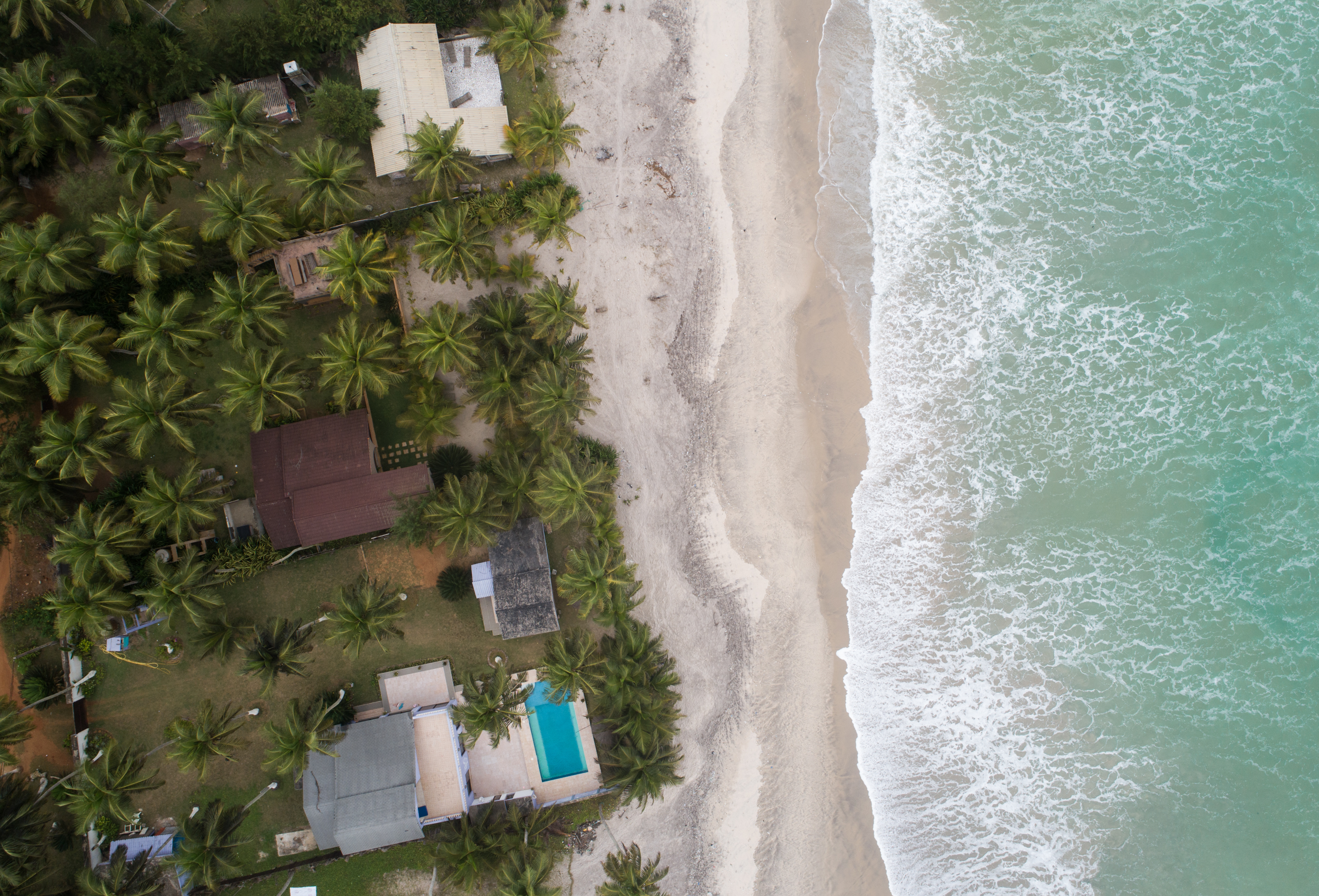 20190815_2_37769054_46810481