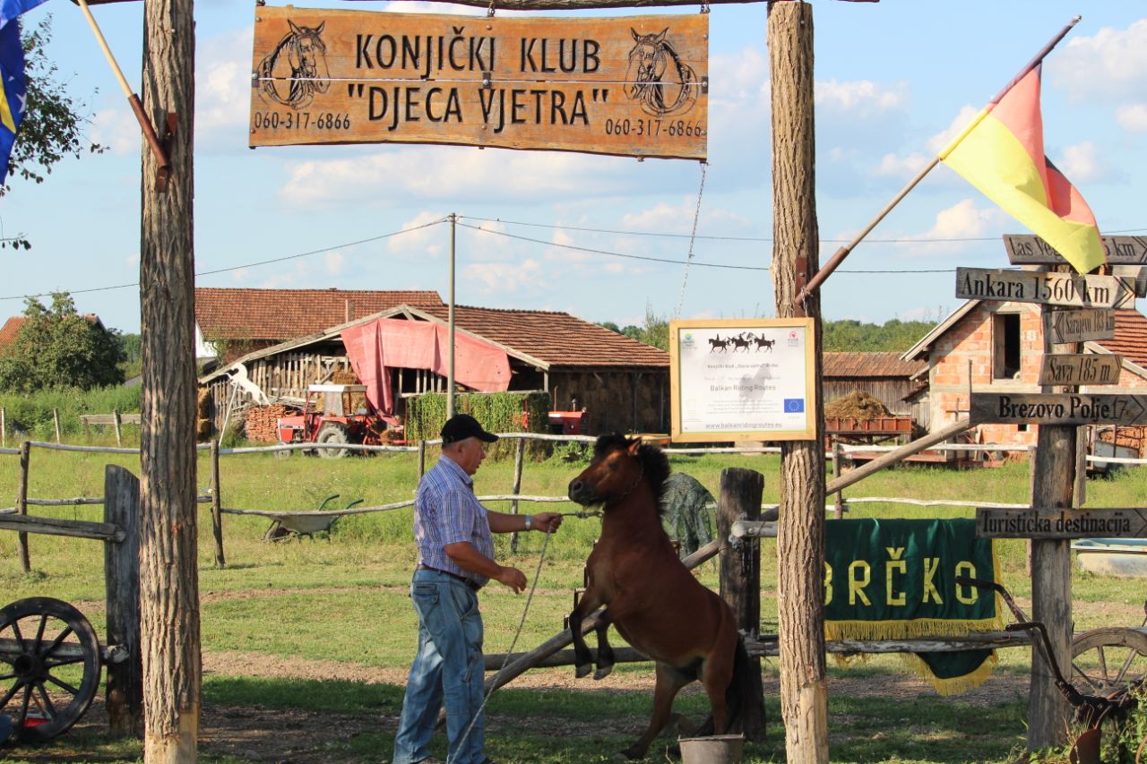 20190818_2_37801828_46873586