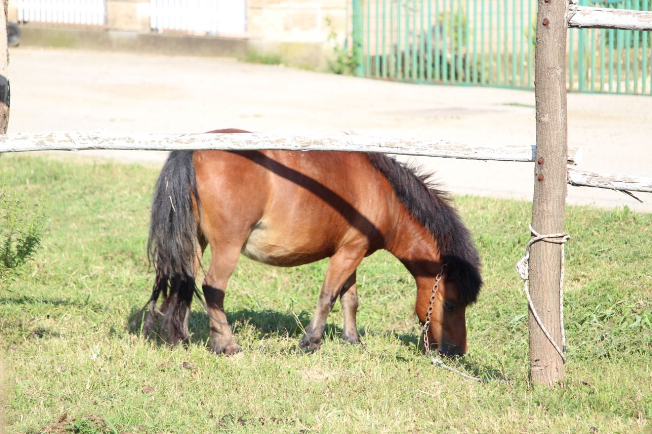 20190818_2_37801828_46873588