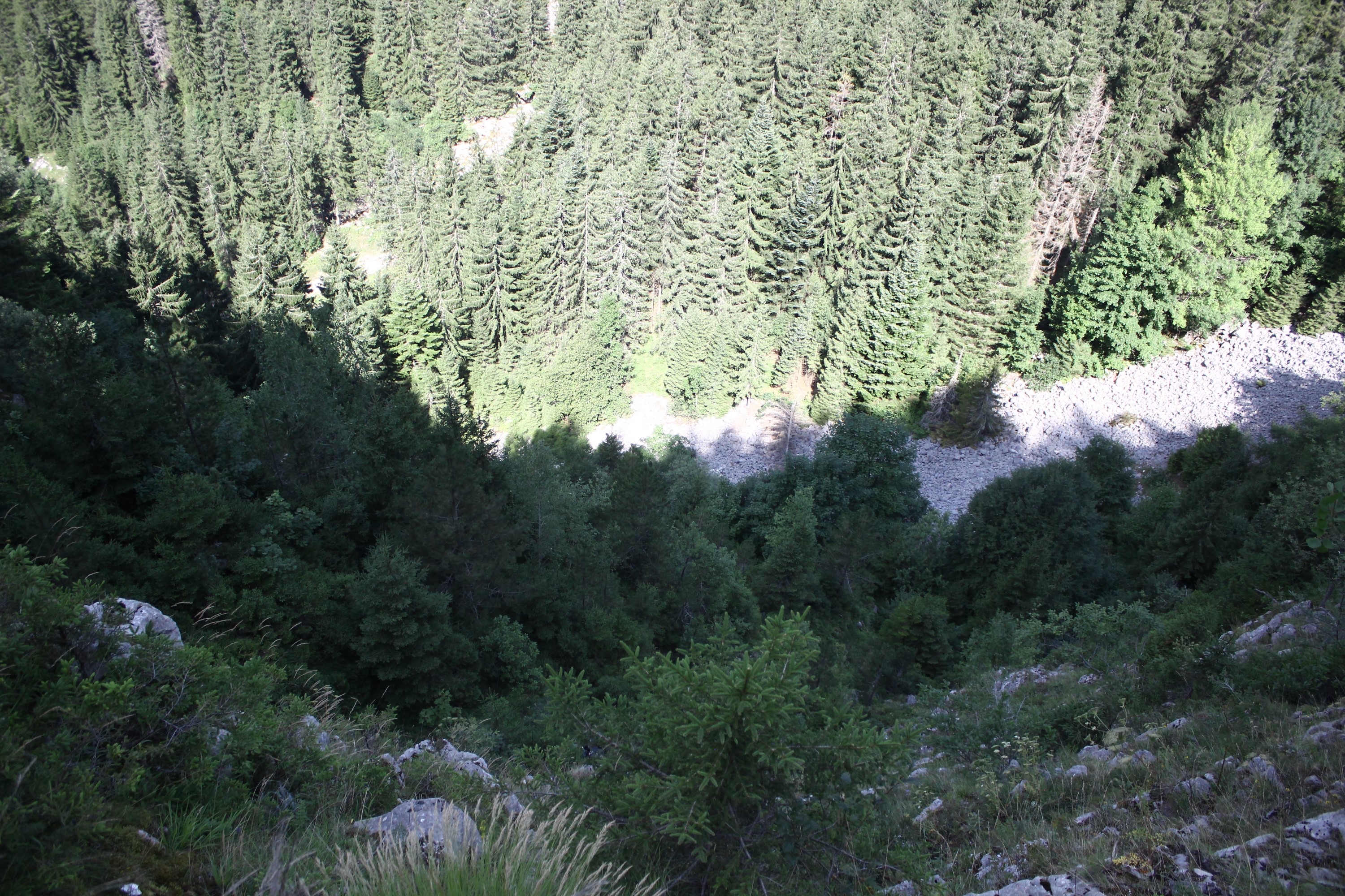 20190821_2_37844690_46944700