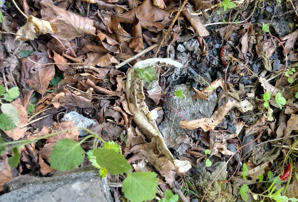 20190828_2_37942315_47109922