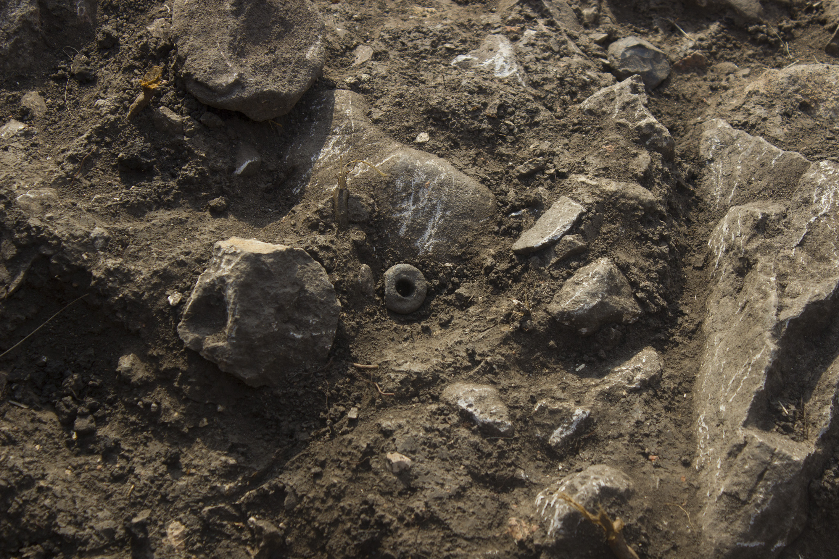 20190901_2_37993637_47206258