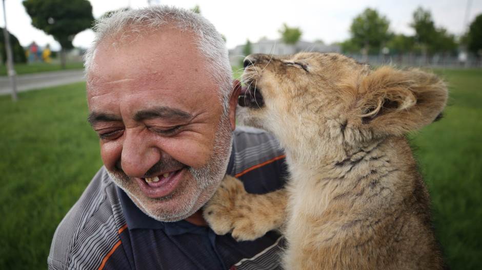 20190905_2_38050865_47298600