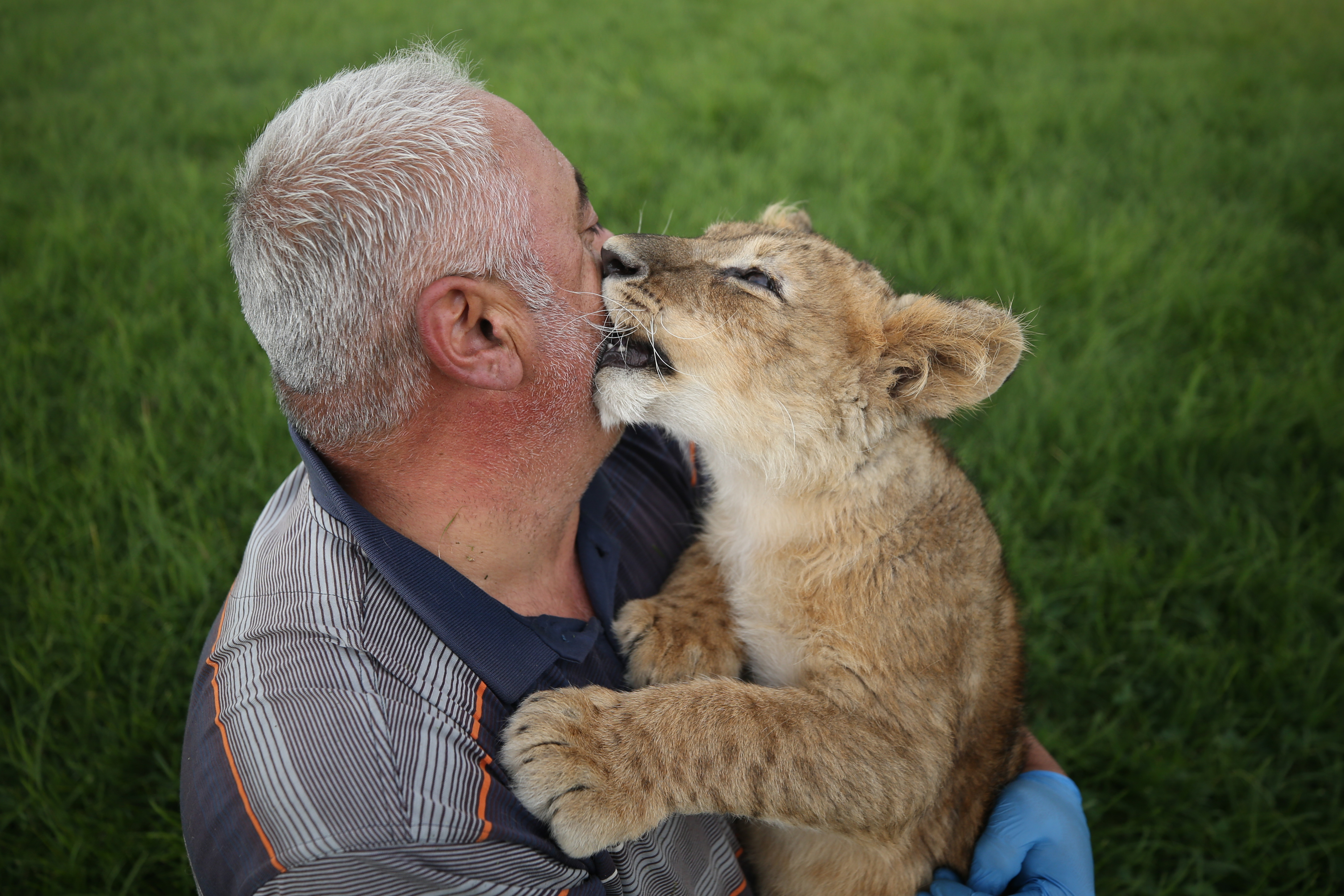 20190905_2_38050865_47298601