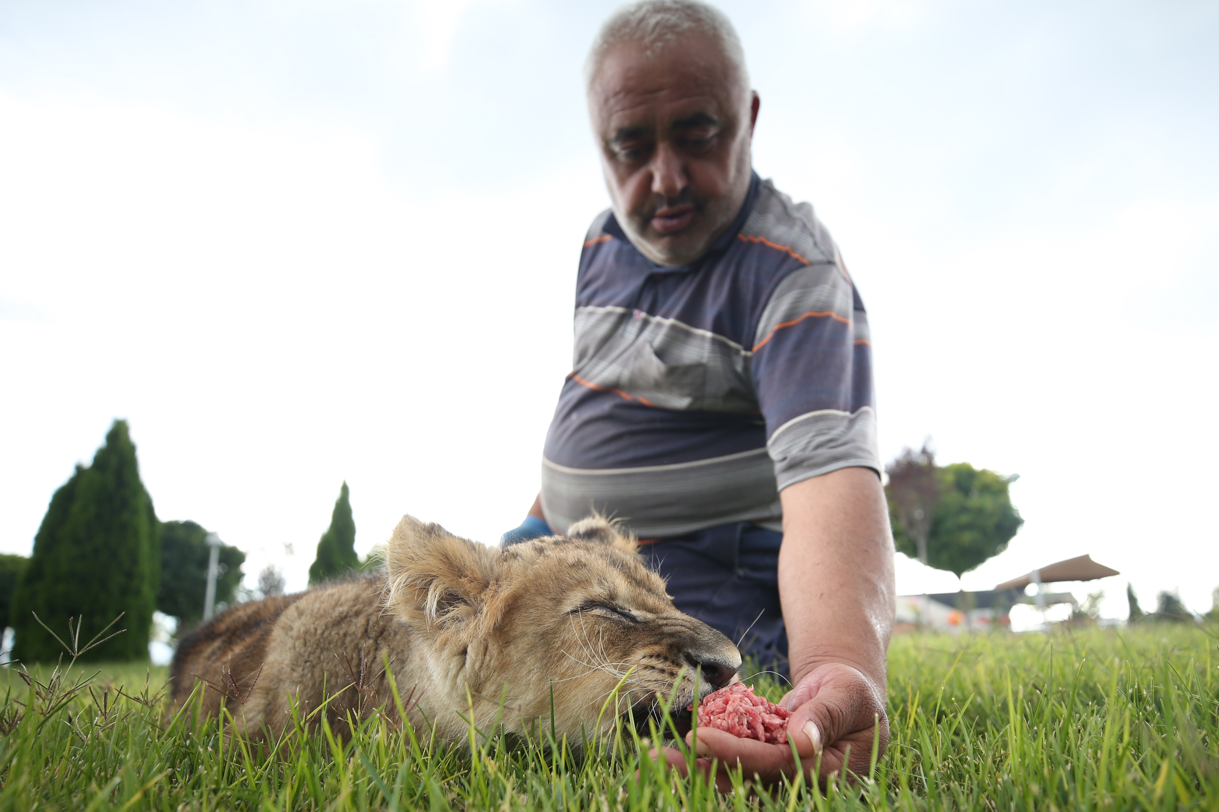 20190905_2_38050865_47298602