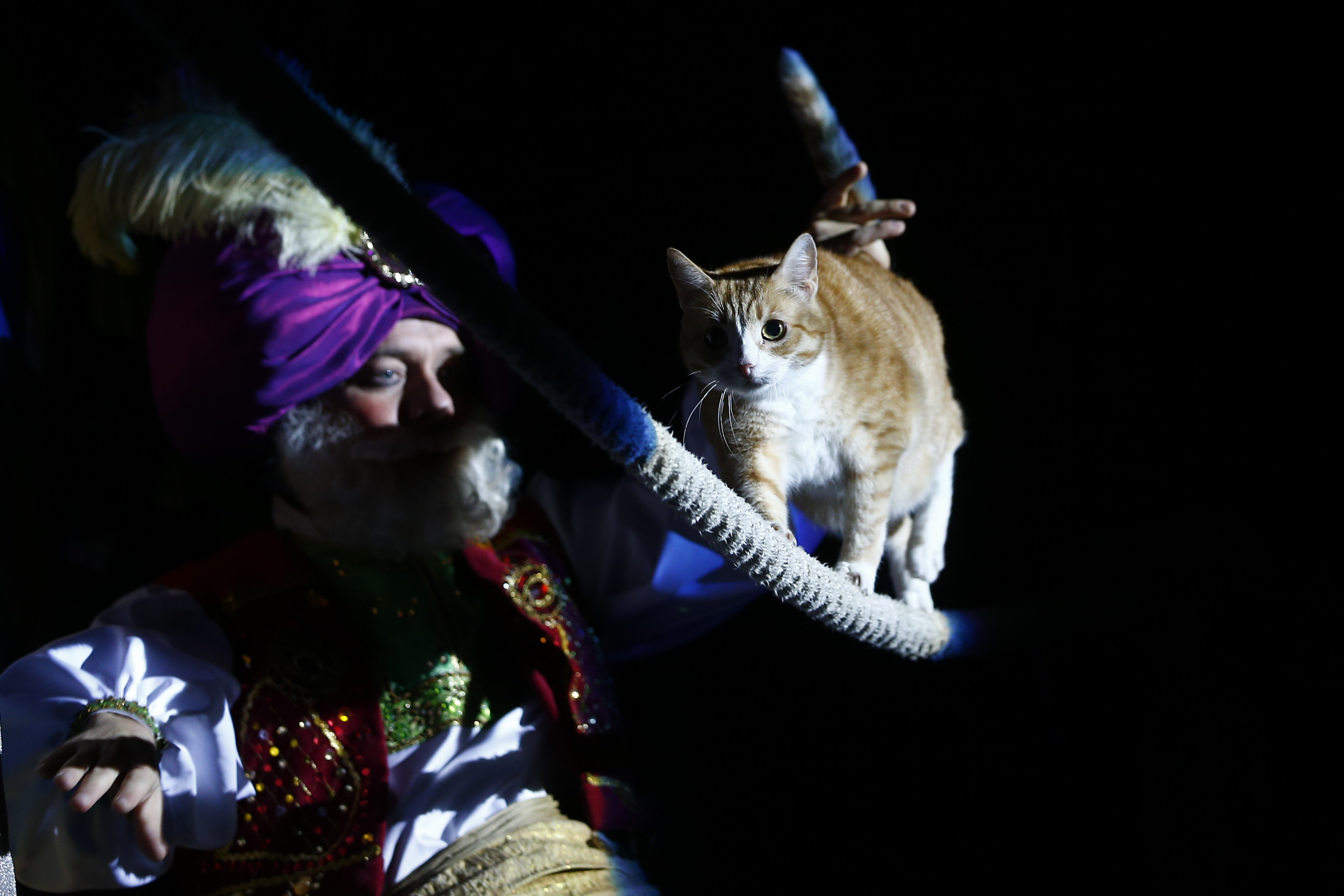 20190922_2_38337675_47808515