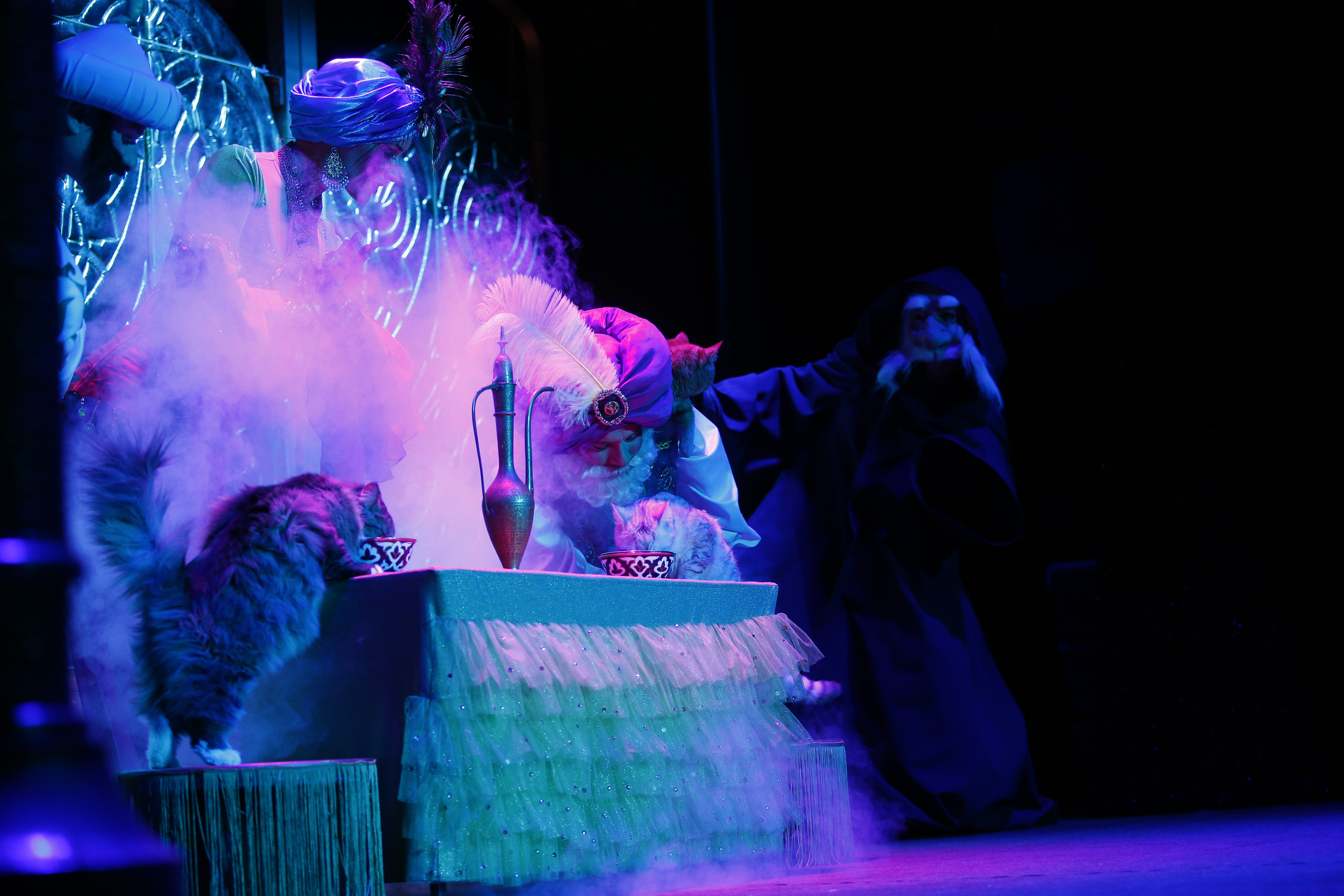 20190922_2_38337675_47808519