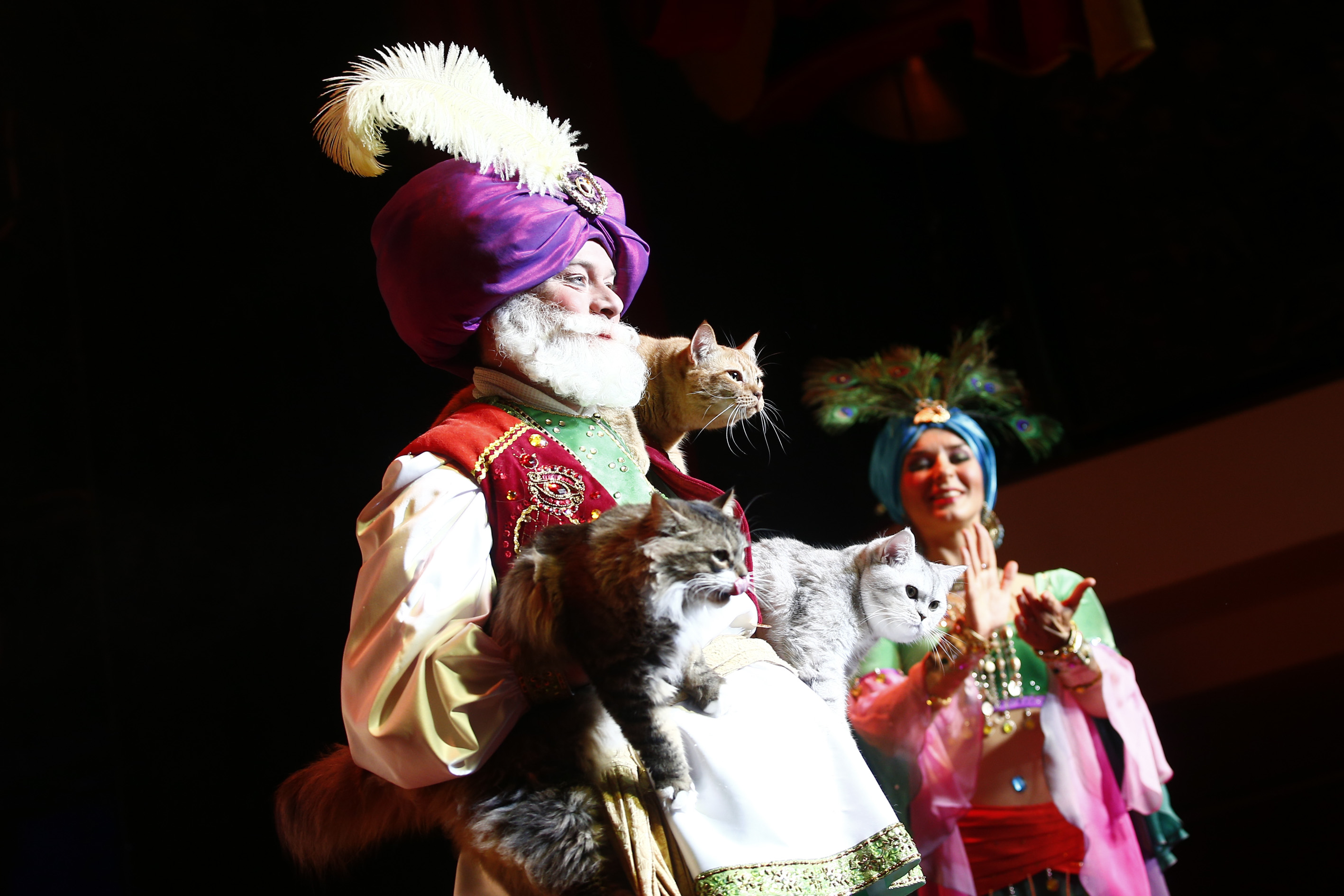 20190922_2_38337675_47808521