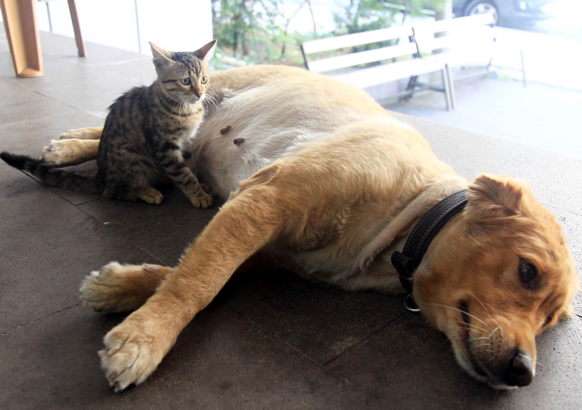 20191001_2_38500567_48070569