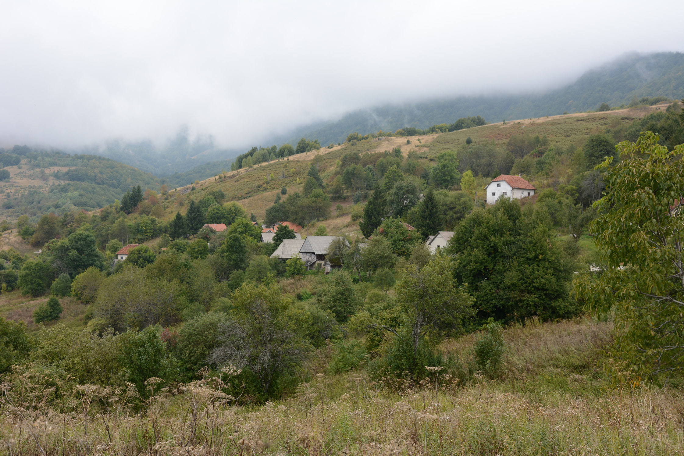 20191006_2_38591032_48232617