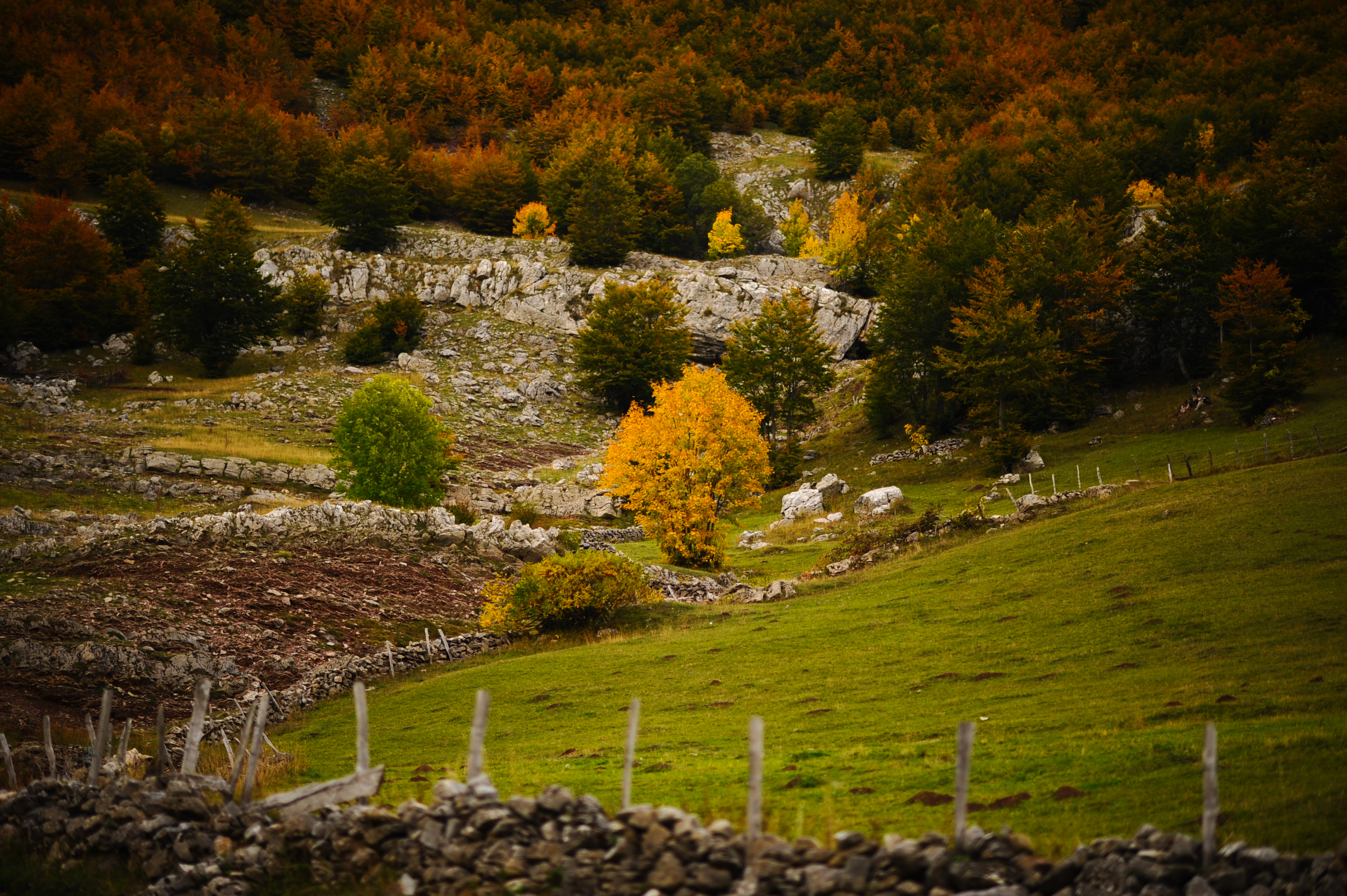 20191006_2_38591661_48235016