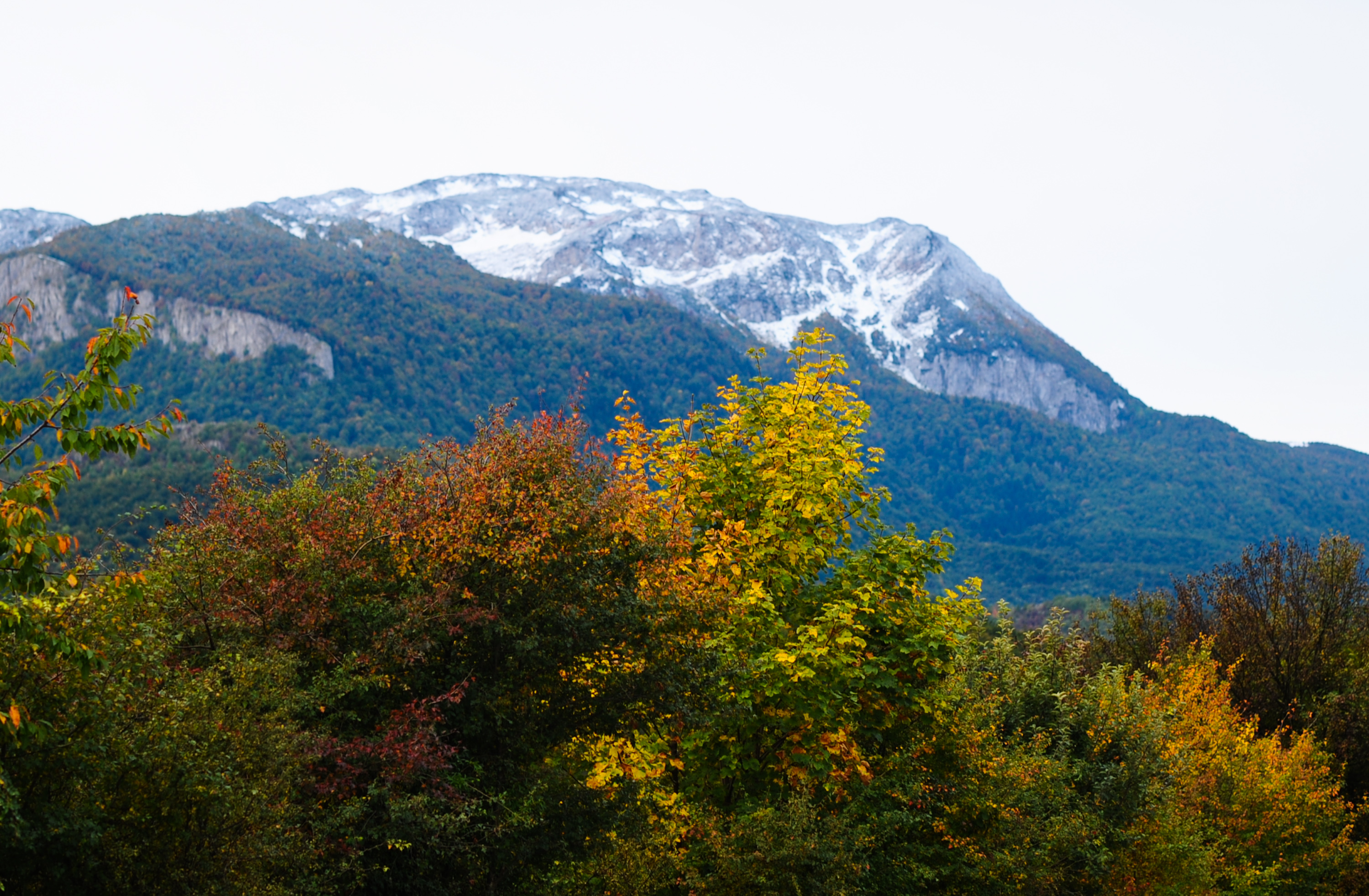 20191006_2_38591661_48235017