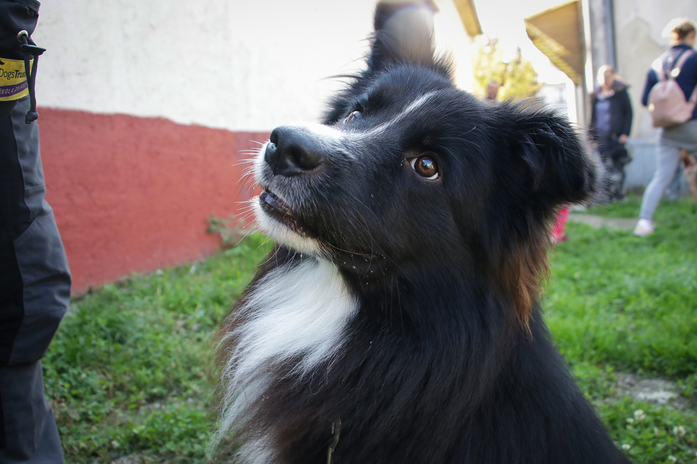 20191012_2_38704331_48414948