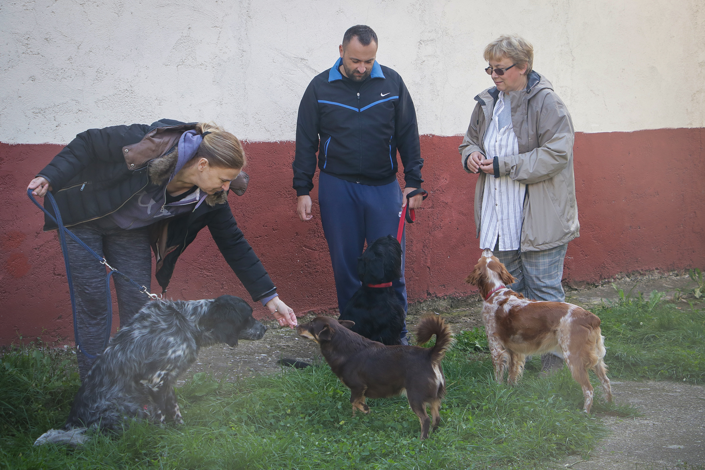 20191012_2_38704331_48414959