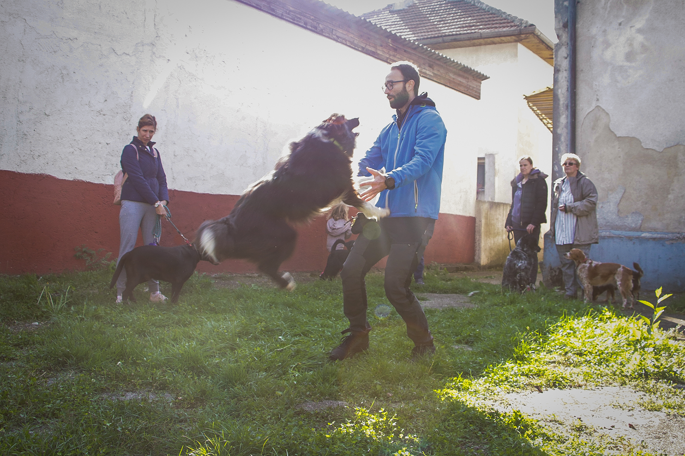 20191012_2_38704331_48414960