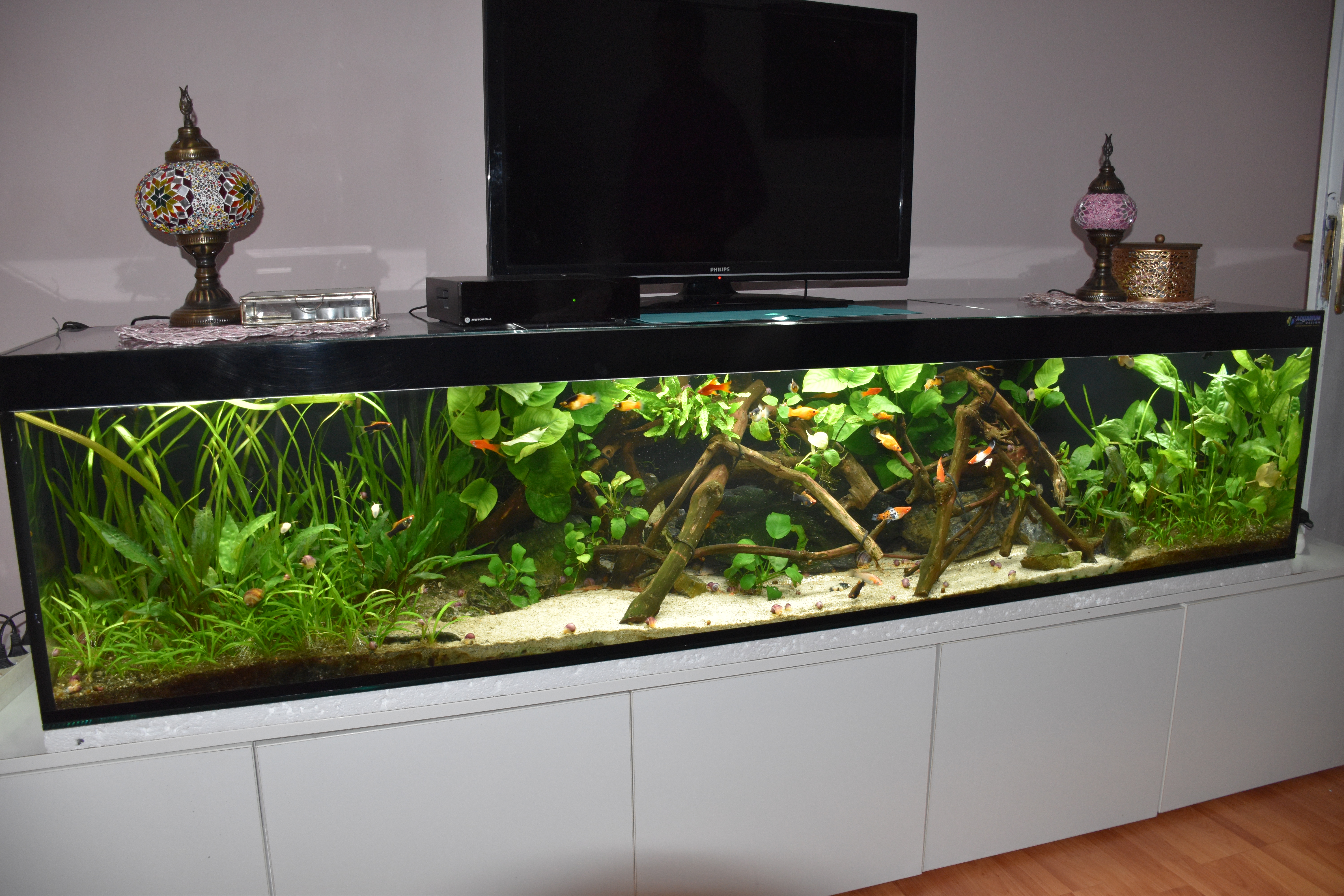 20191013_2_38724184_48452795