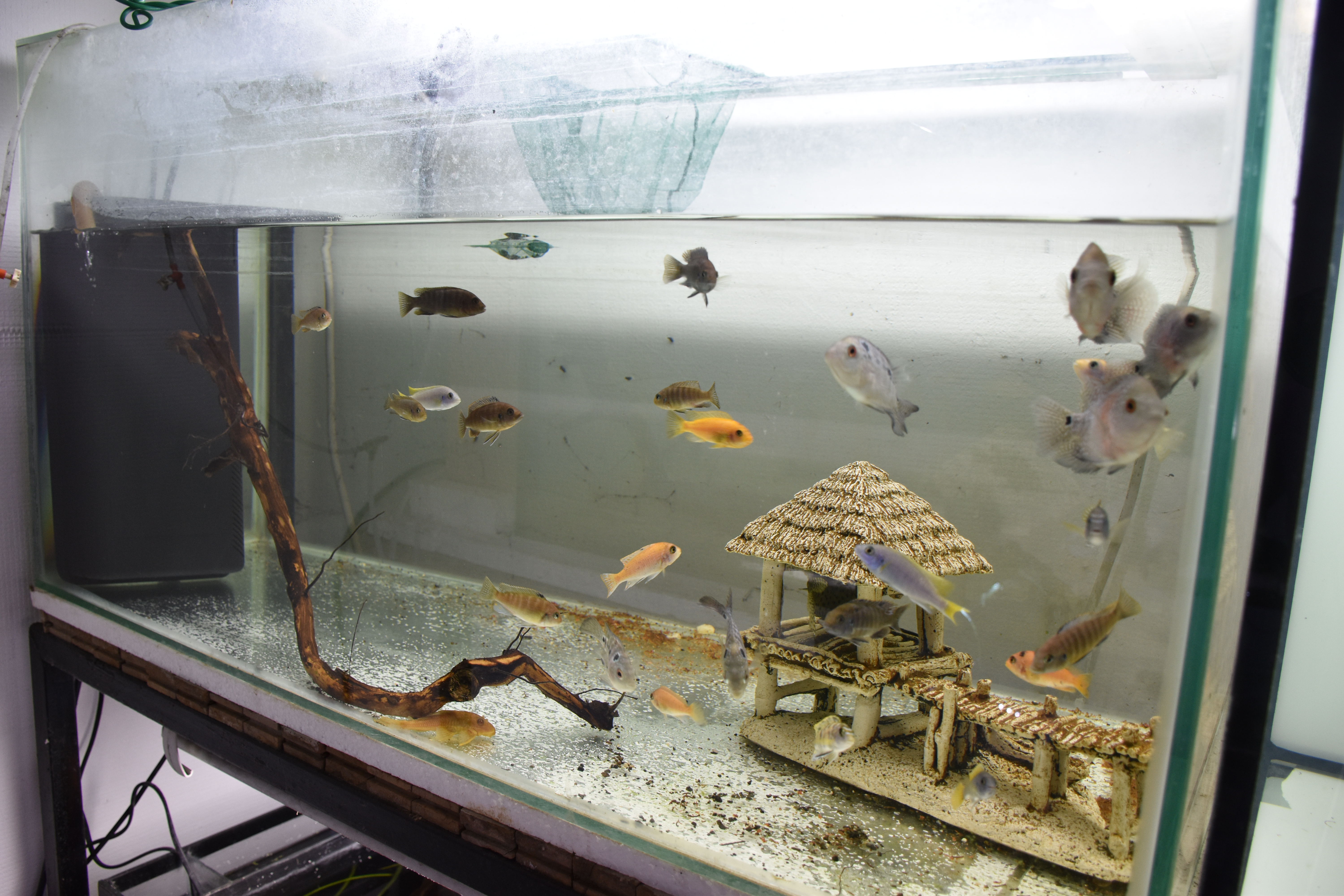 20191013_2_38724184_48452800