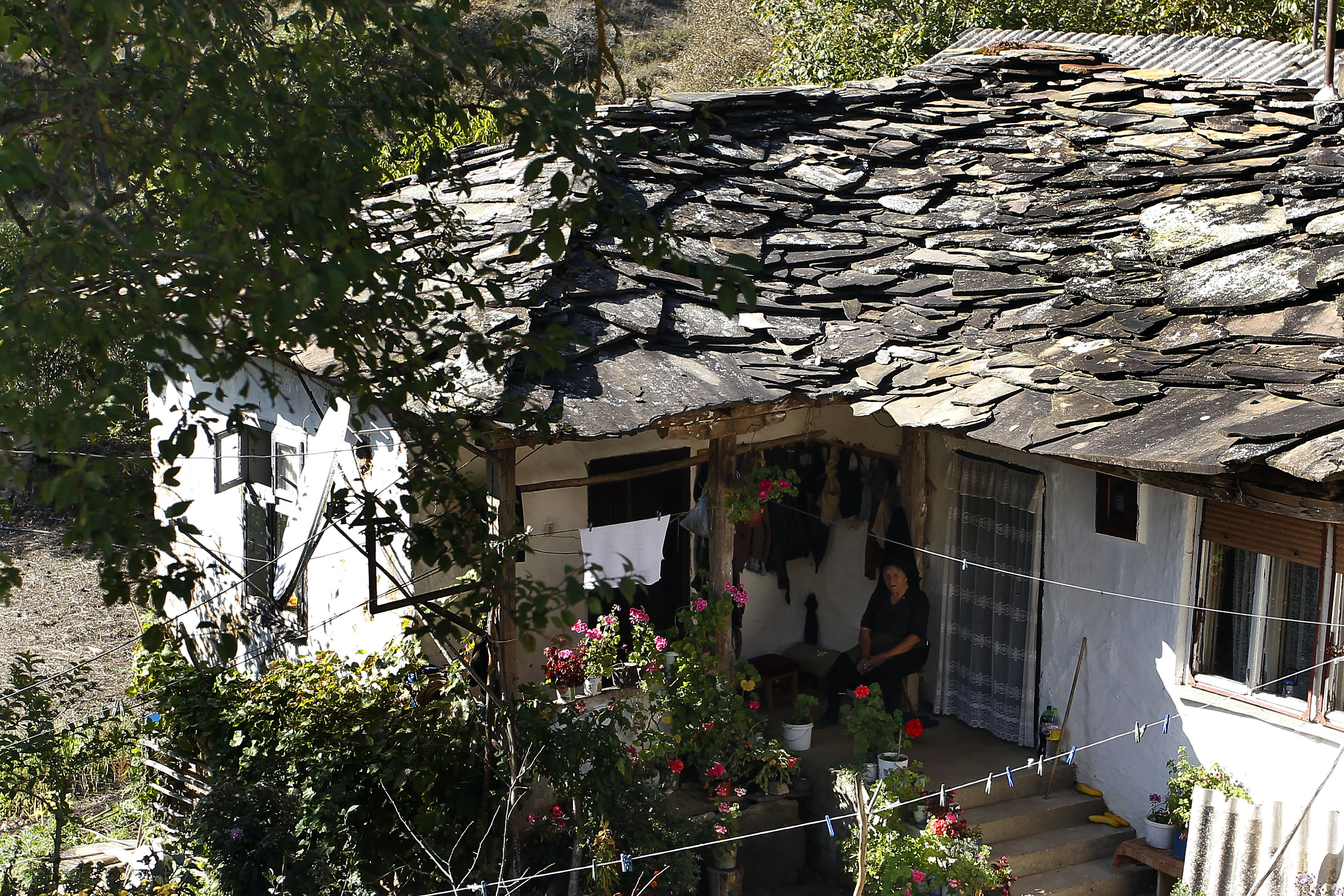 20191019_2_38833633_48623363