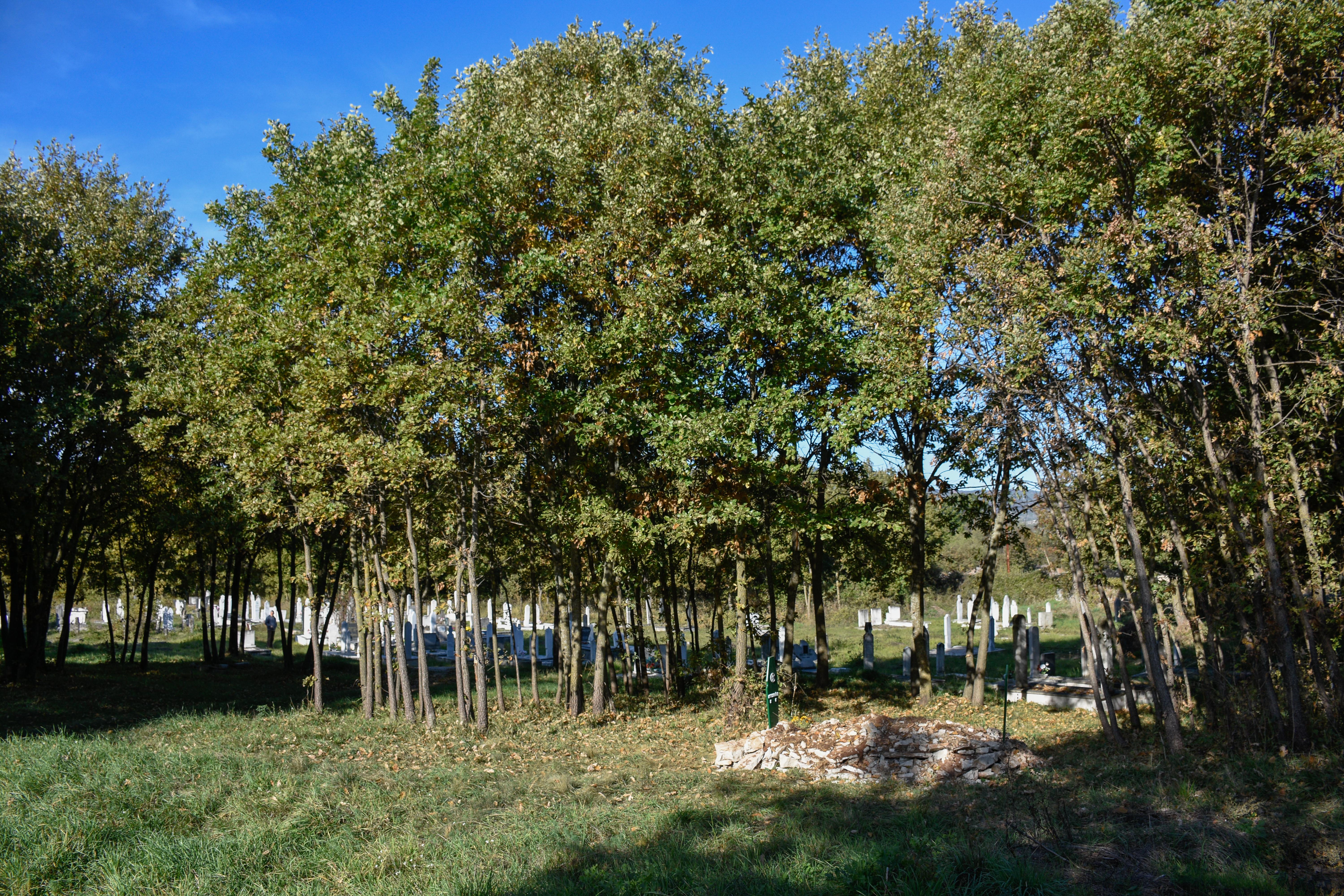 20191102_2_39112477_49078300