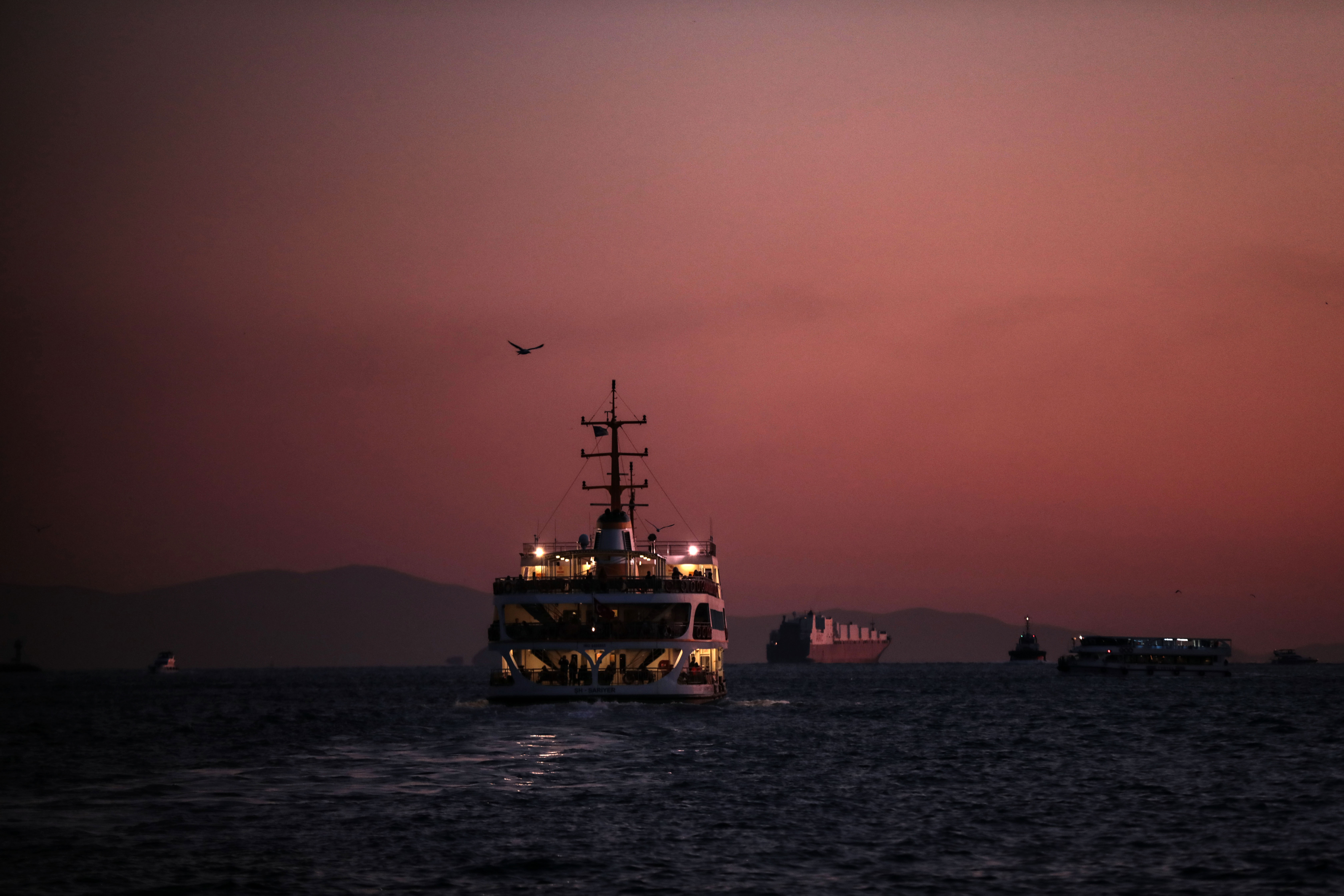 20191102_2_39121479_49099286