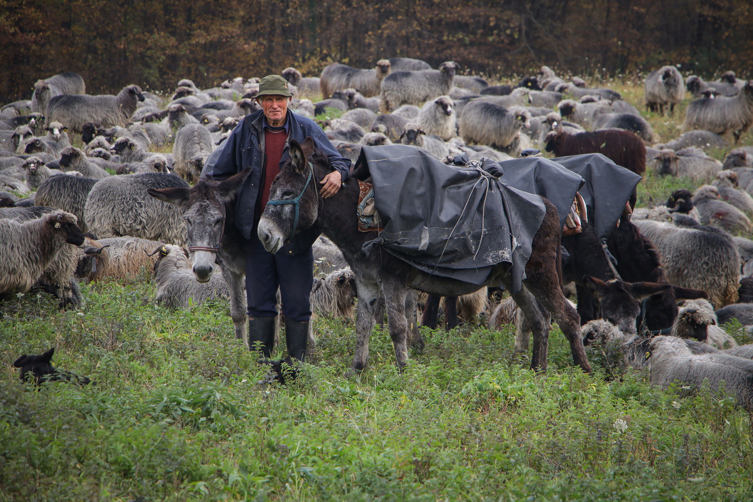 20191103_2_39125655_49109156