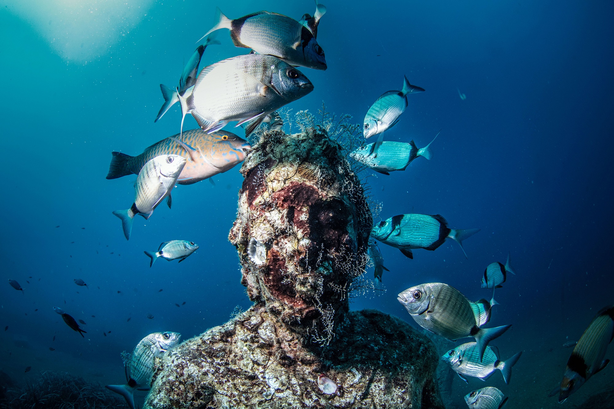 20191104_2_39142015_49140660