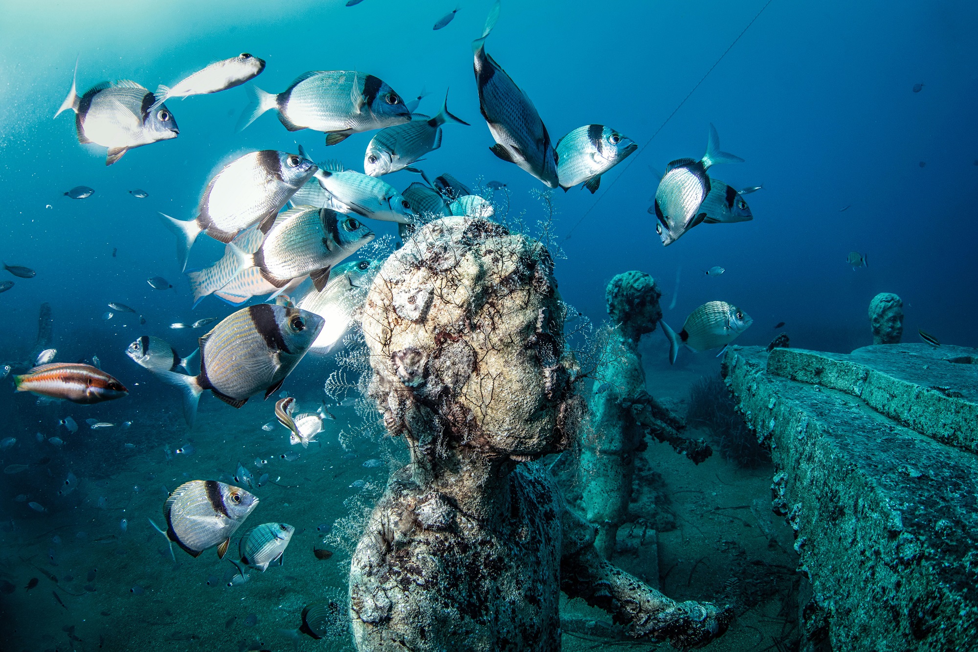 20191104_2_39142015_49140663